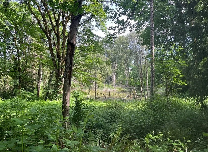 Fun getting to know the Skyway community! The community engagement process emphasized co-creation, transparency, and trust-building&mdash;positioning Skyway residents not just as stakeholders, but as active partners in shaping the future of their nei