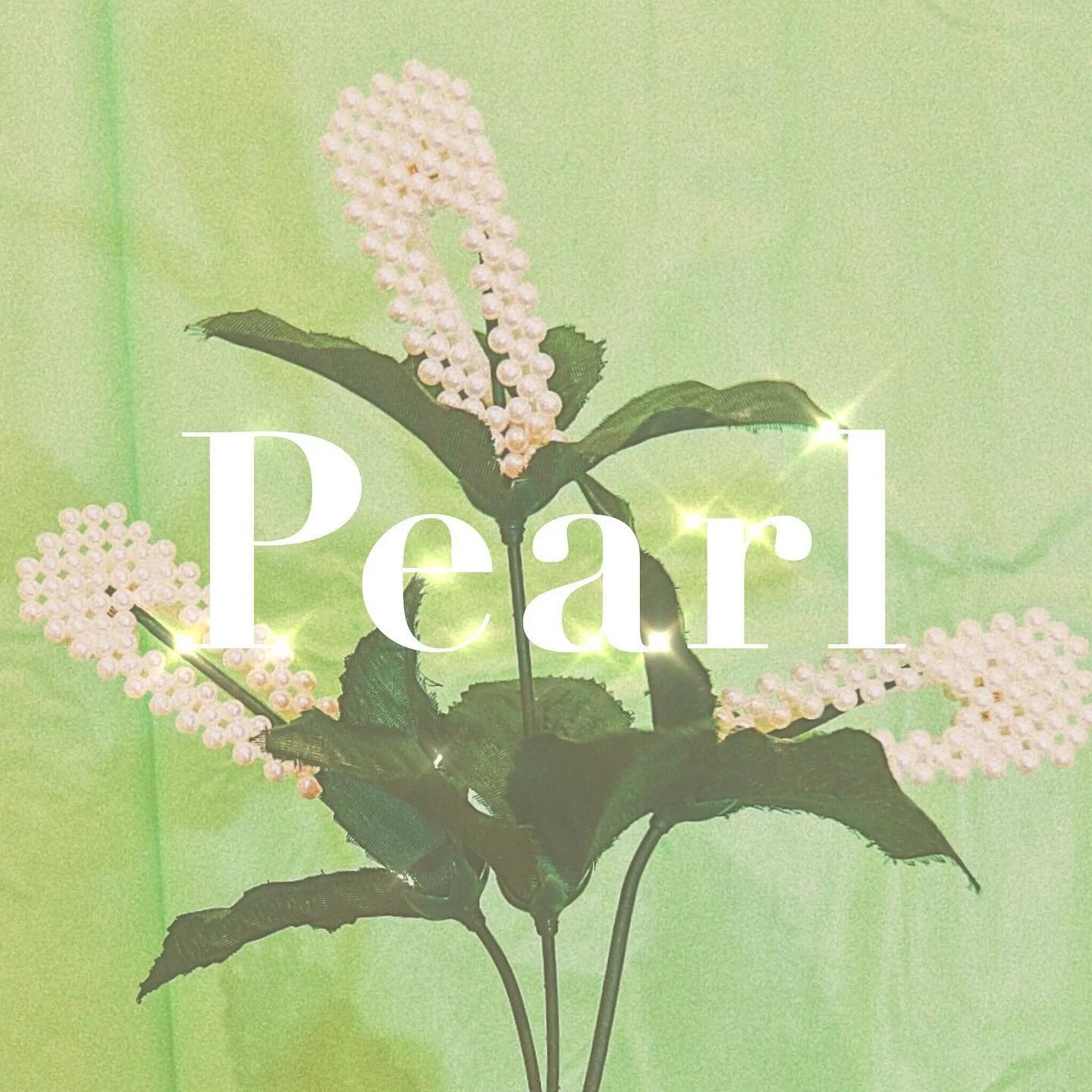 Pearl, you see her. .
.
.
.
.
#entreprenuerlife #shoppingonline #styleinspo #personalstylist #vintage #personalshopping #fashionable #shopoholics #chicstyle #clothesboutique #hairaccessories #shopblackowned #shoptysida