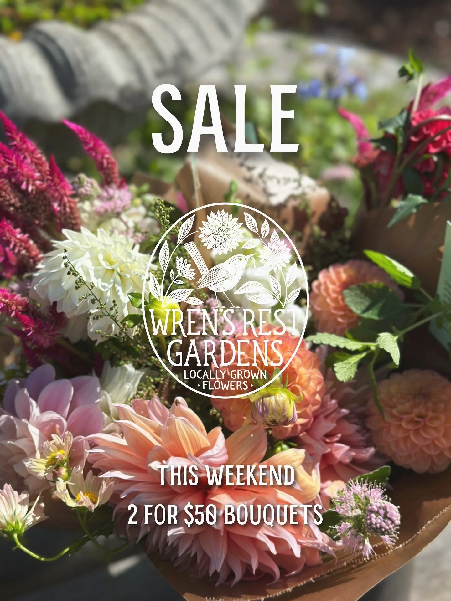 💐Where to find our flowers ON SALE this weekend!

🌼Bouquets will be available at @blue.wall_farm.wines @longstonefarm in Paeonian Springs from 1-6pm and Sat/Sun from 11-5. SPECIAL THIS WEEKEND 2 for $50 bouquets! 

🌼October 19th, join us for a Sun
