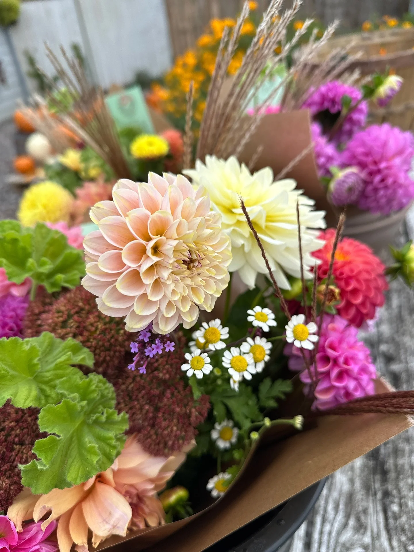 💐Where to find our flowers this weekend!

This is the final week of our fall subscription, bittersweet and appropriate timing as it looks like tonight frost will probably take us out! Bittersweet but nature is cyclical. 

🌼Bouquets will be availabl