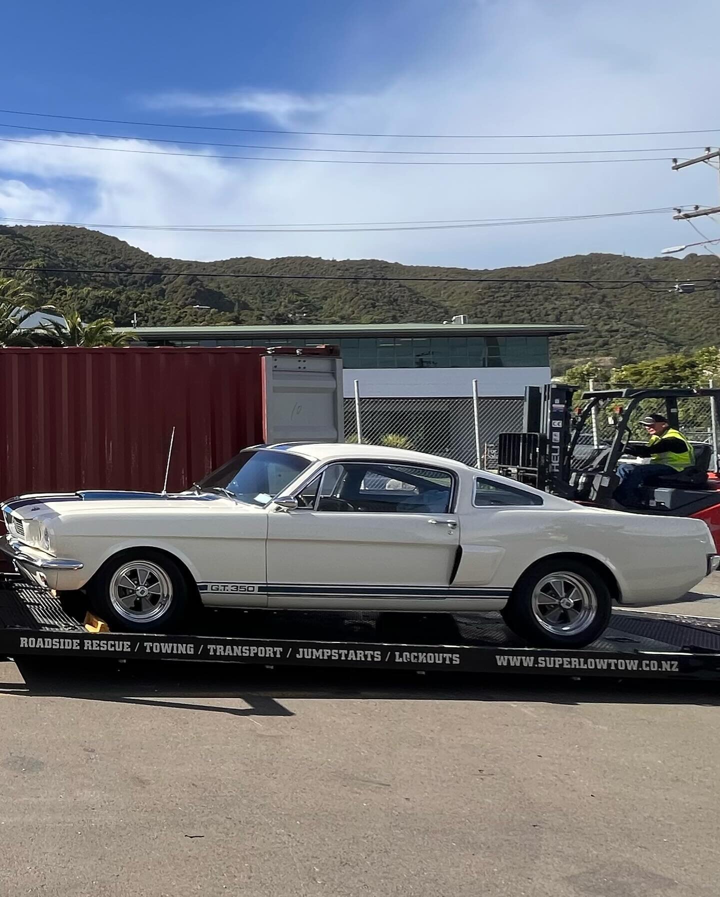 Cars, Costume &amp; Canvases. No dull moments in March so far. A beautiful 66 Mustang heading to a new home in New York. Costume load out after filming wraps in Wellington &amp; 48 fresh artworks for exhibition.