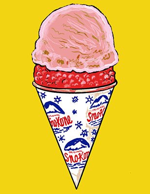 SnoKone with Icecream