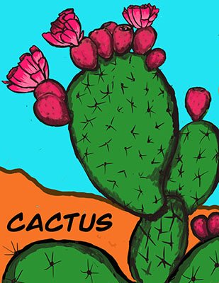 Cactus 2