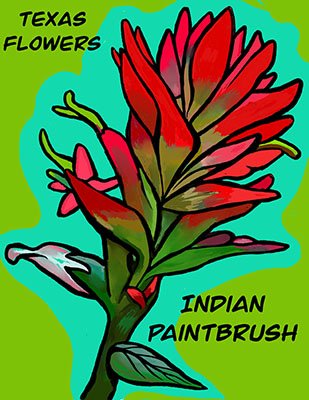 Texas Flowers: Indian Paintbrush