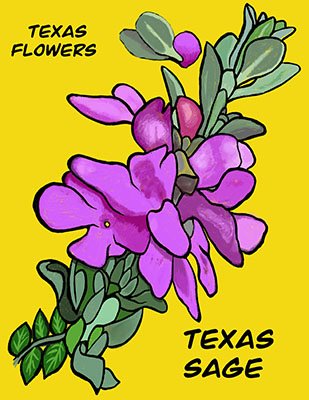 Texas Flowers: Texas Sage