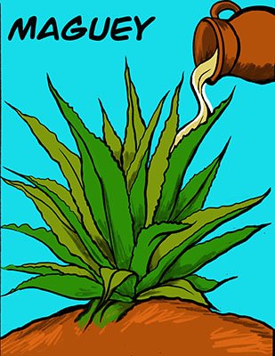 Maguey: Nature's Super Food