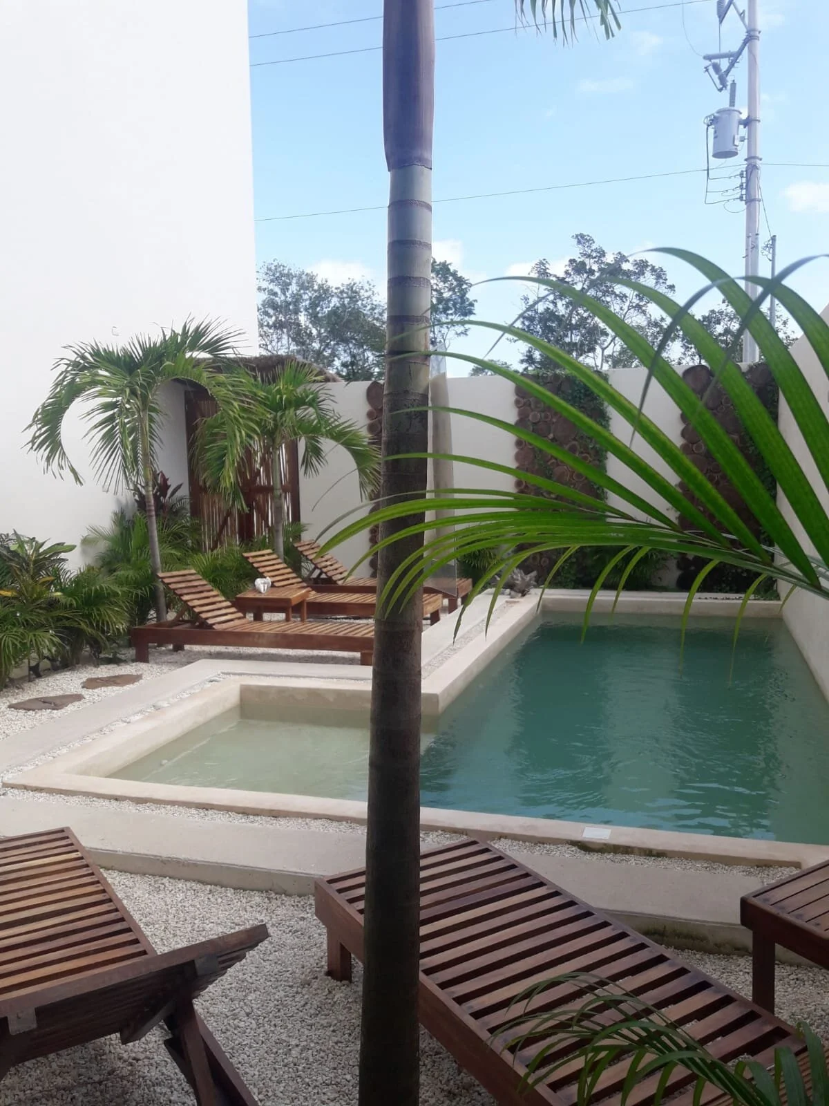 WhatsApp Image 2021-08-09 at 4.38.56 PM.jpeg