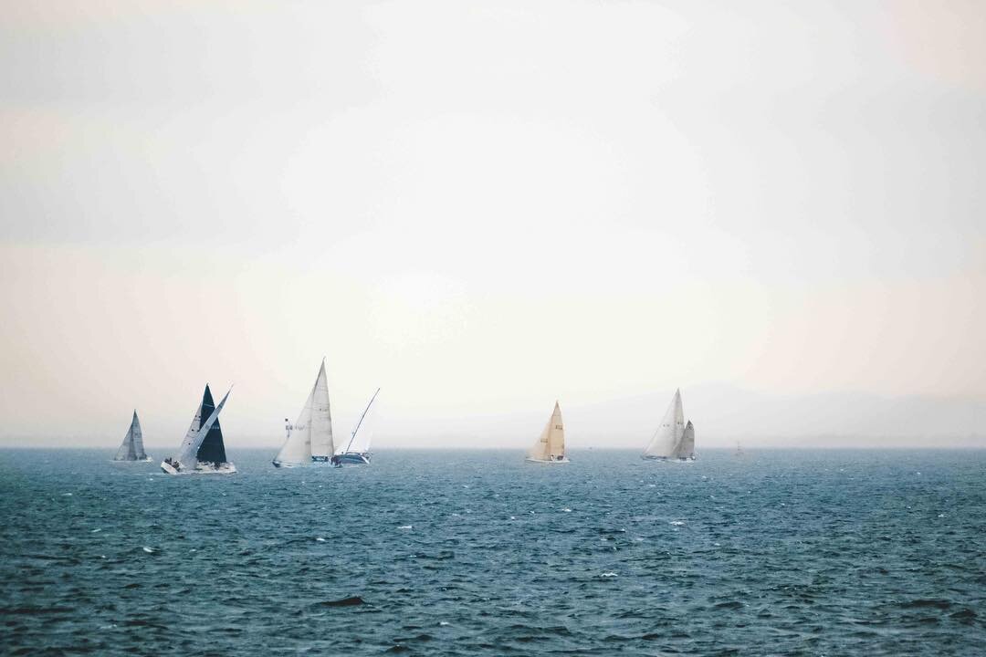 How a-boat that wind, huh
.
.
.
.
#sea&nbsp;#boat&nbsp;#sailing #wind #australia #Nikon&nbsp;#d5300