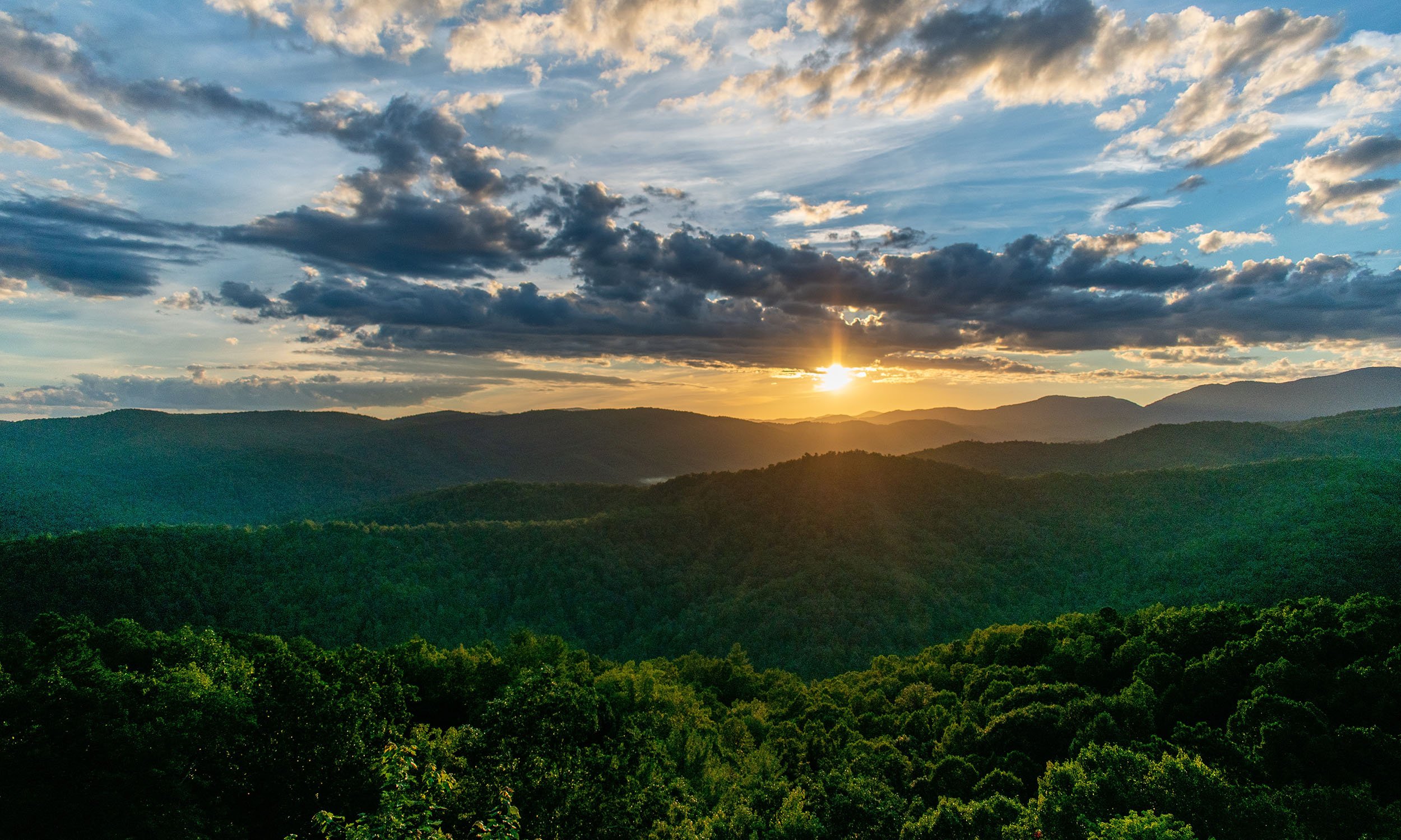 Matt Davis Real Estate Broker North Carolina