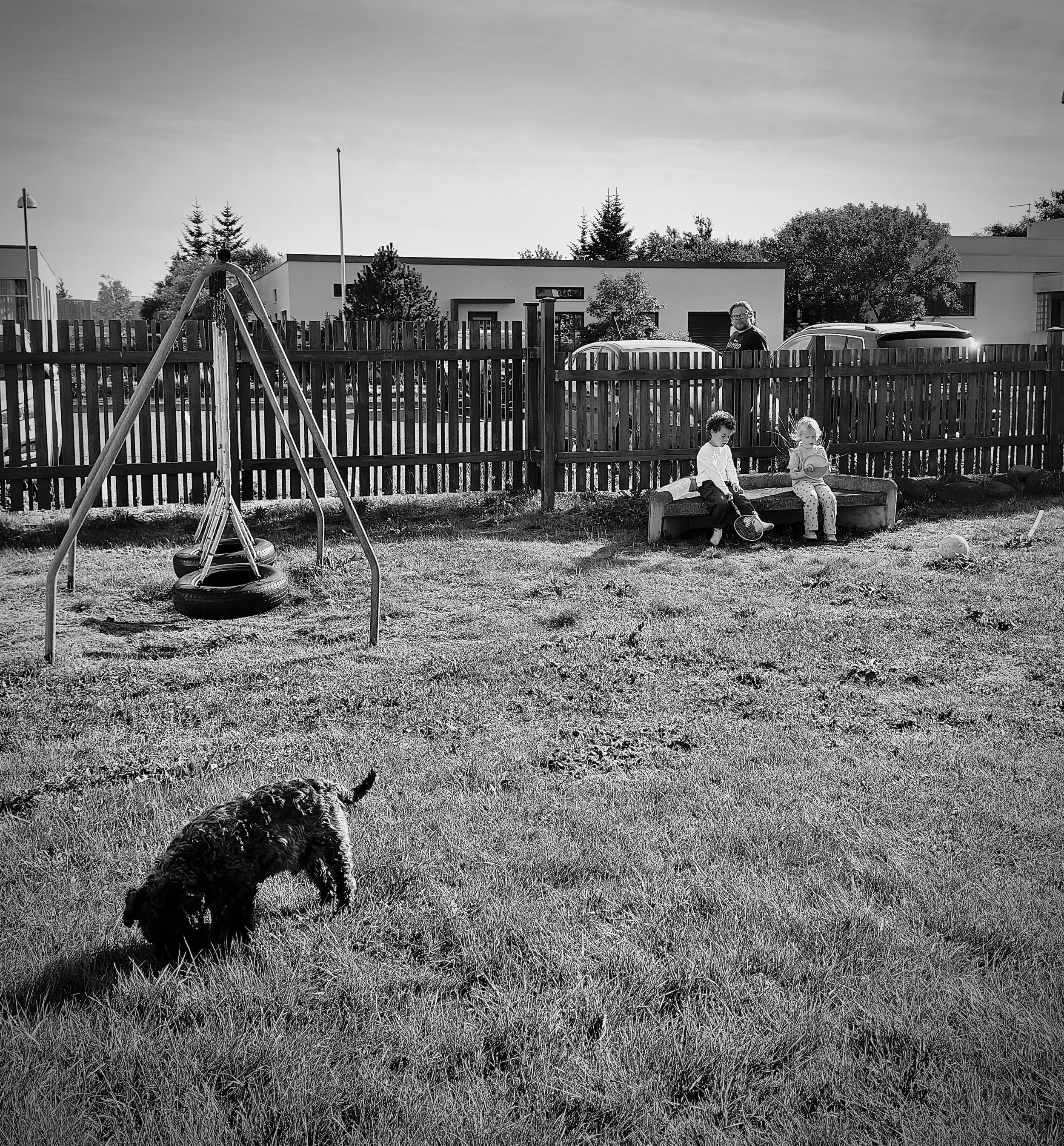 IMG_0923.jpeg