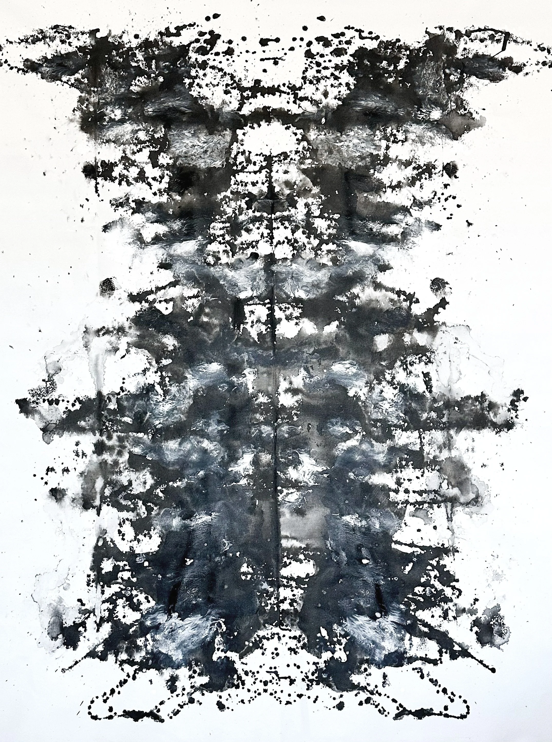 Stardust Stallion
60X48 Inch.