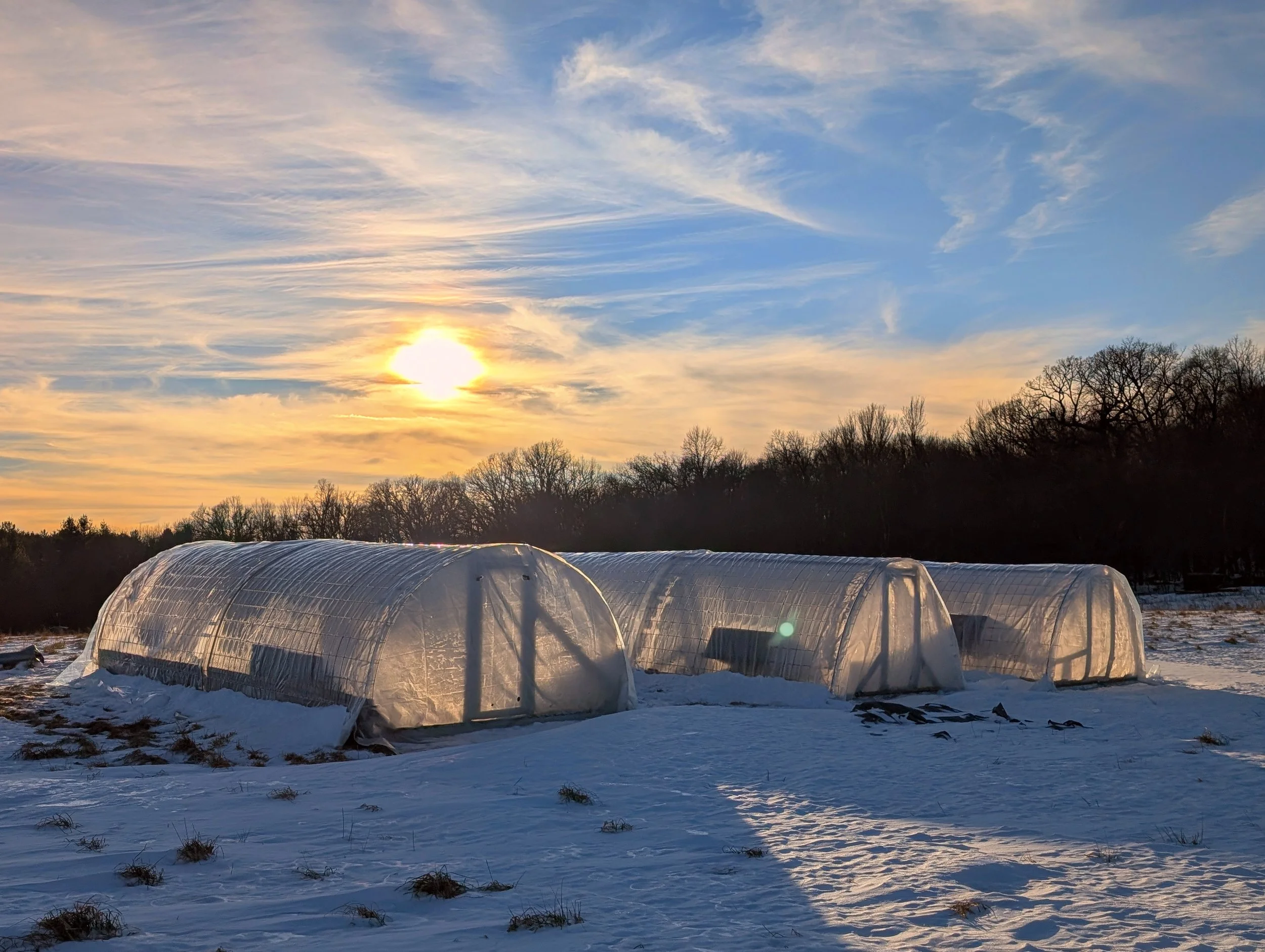 Winter Greenhouses