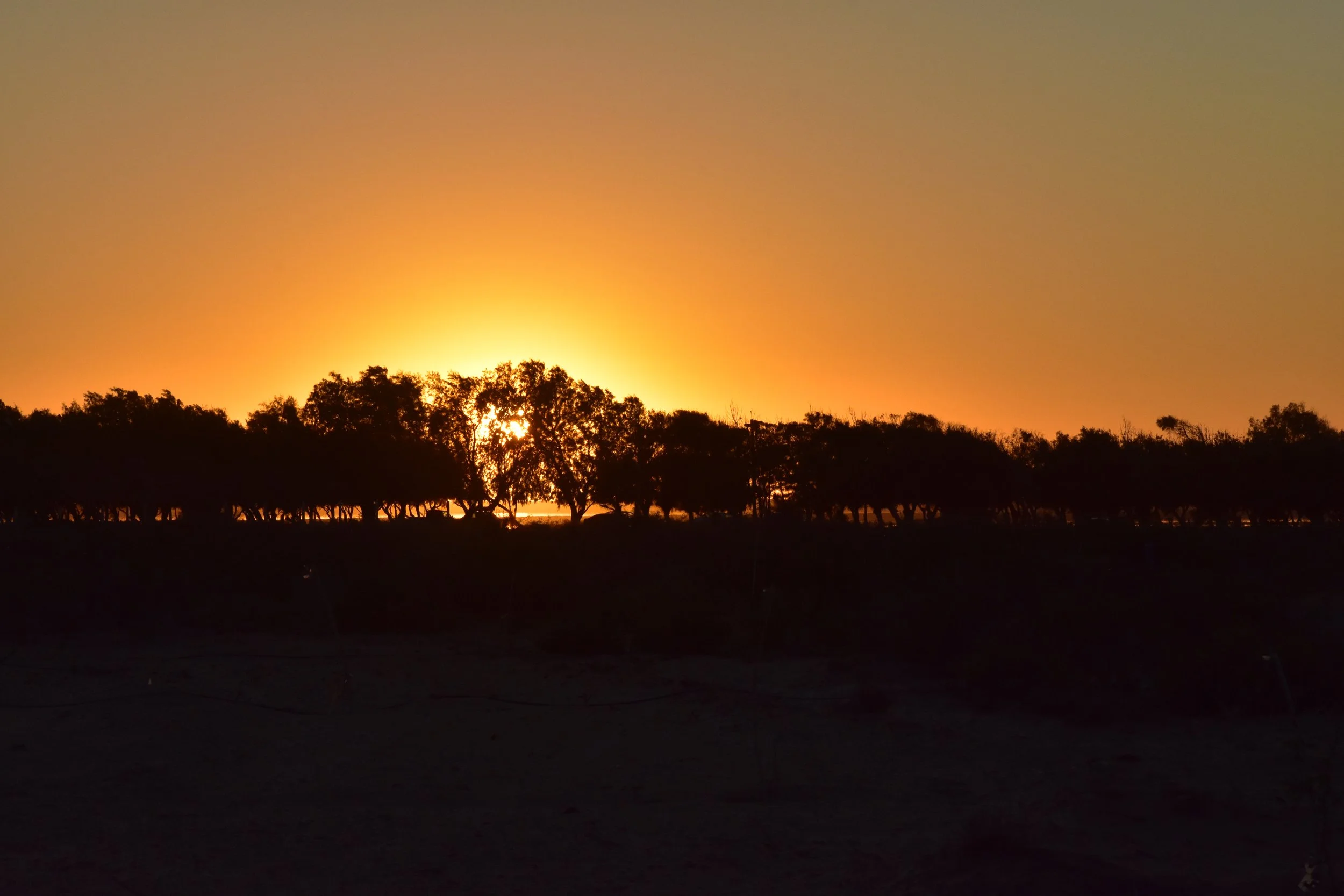 Evaluando el año que termina