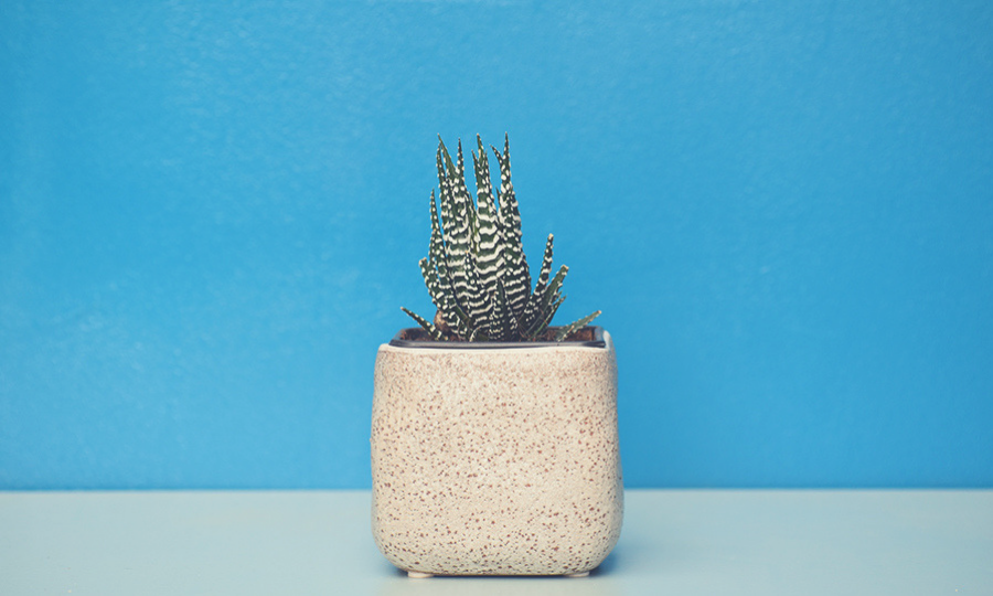 Dejando herencia en un mundo minimalista