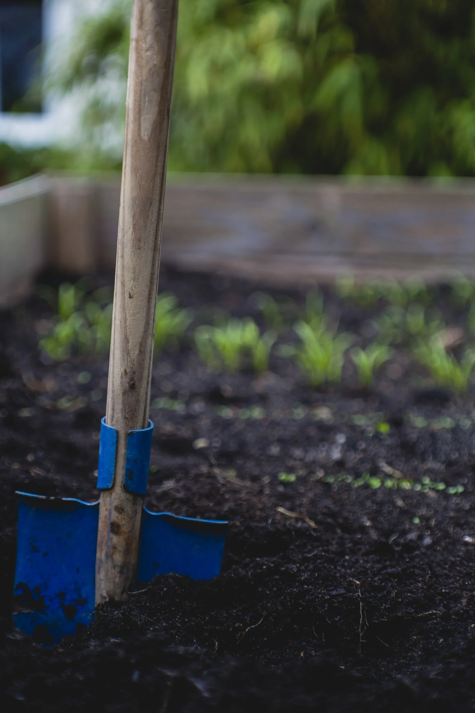 June 15, 2021: If You Can't Reduce Food Waste, Divert it from Dwindling Landfills.