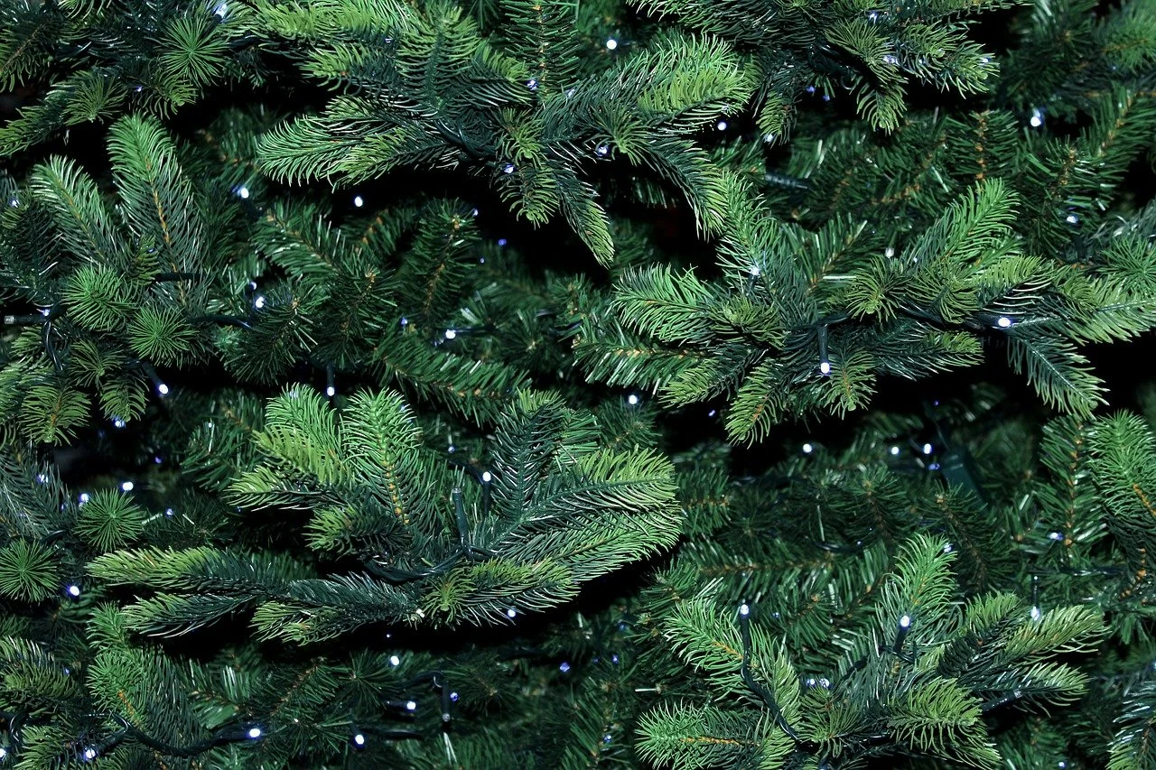 November 30, 2021: A Green Christmas