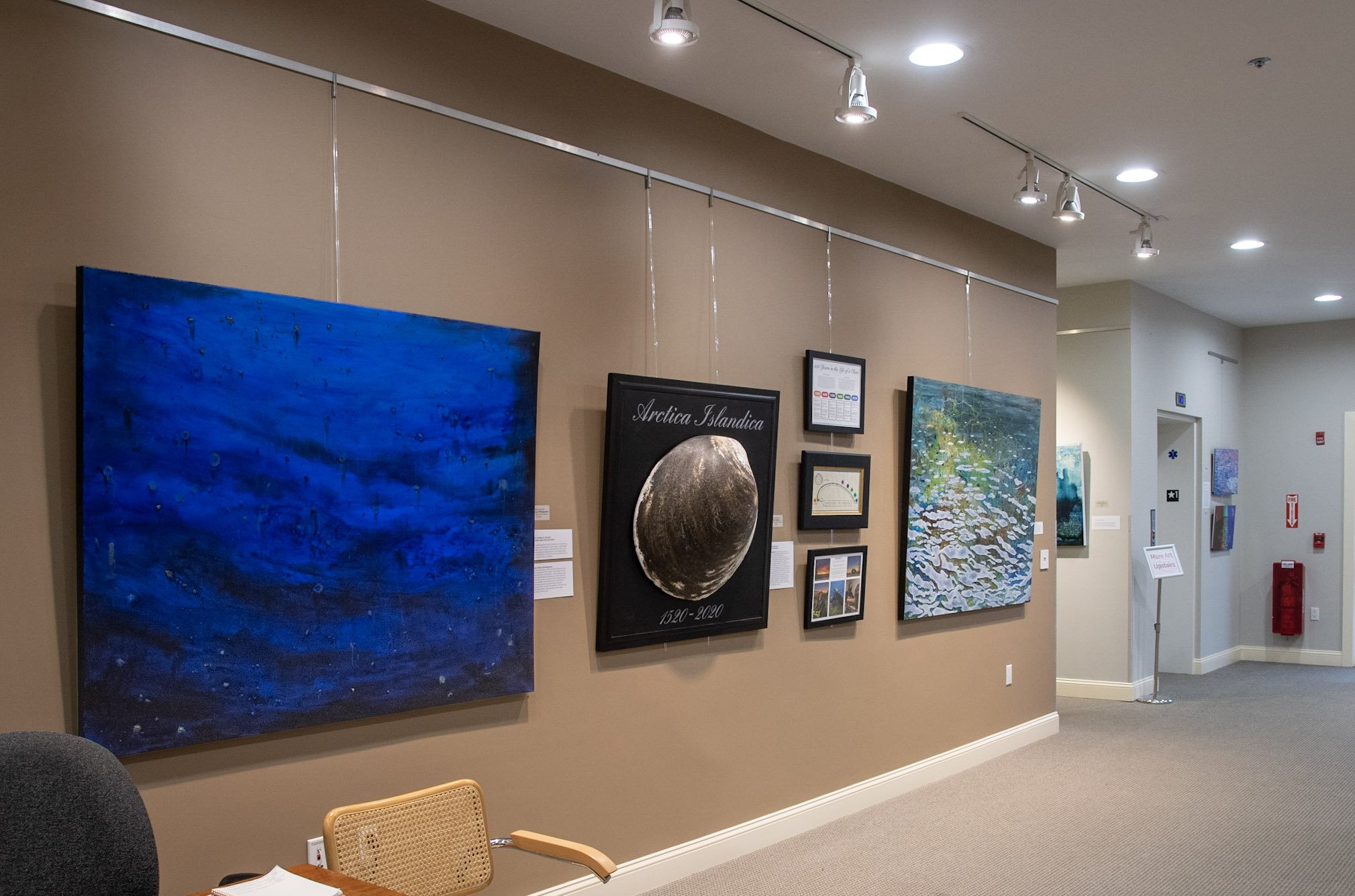  Several pieces of artwork in the gallery, including "Deep Ocean: Disintegration" by Heather E. Stivison, "Arctica Islandica" by Claire Marschak, and "Coastal Surface: Community" by Heather E. Stivison 