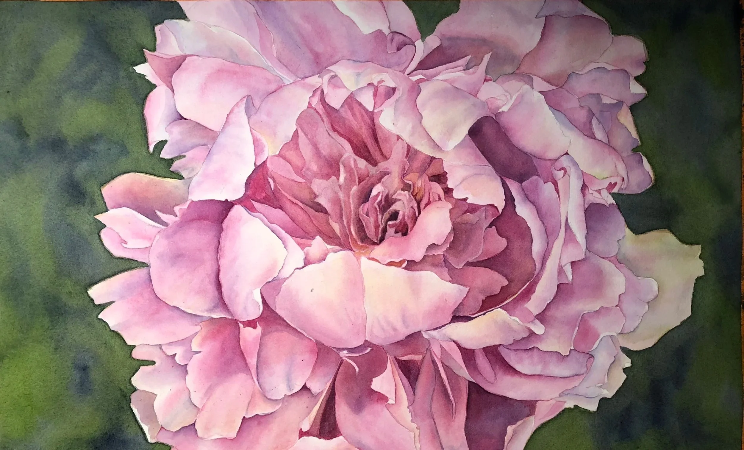 Peony  1