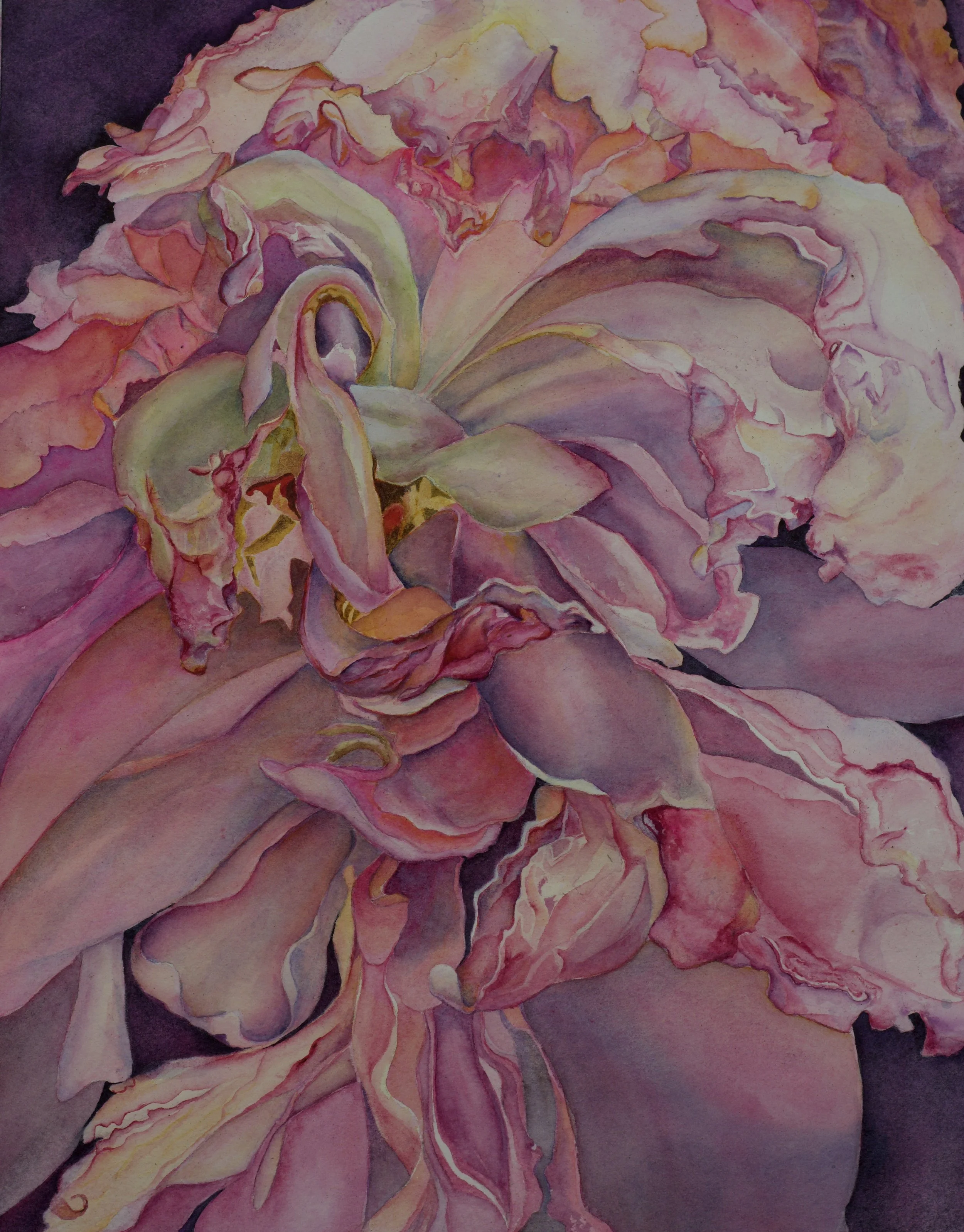 Aging Pink