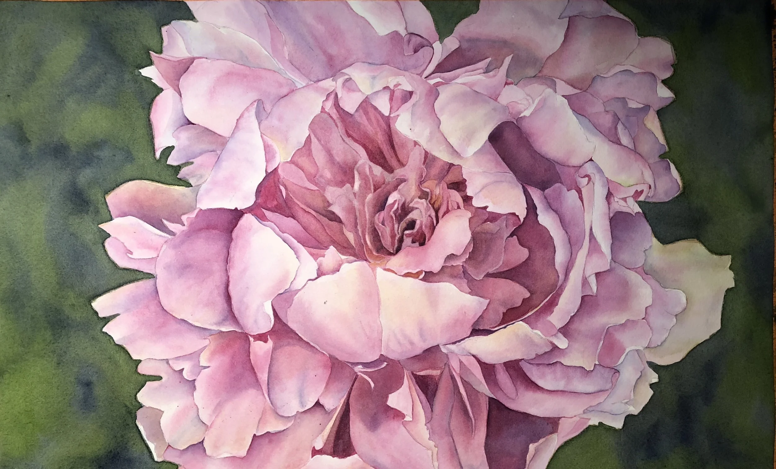 Peony 1.jpeg