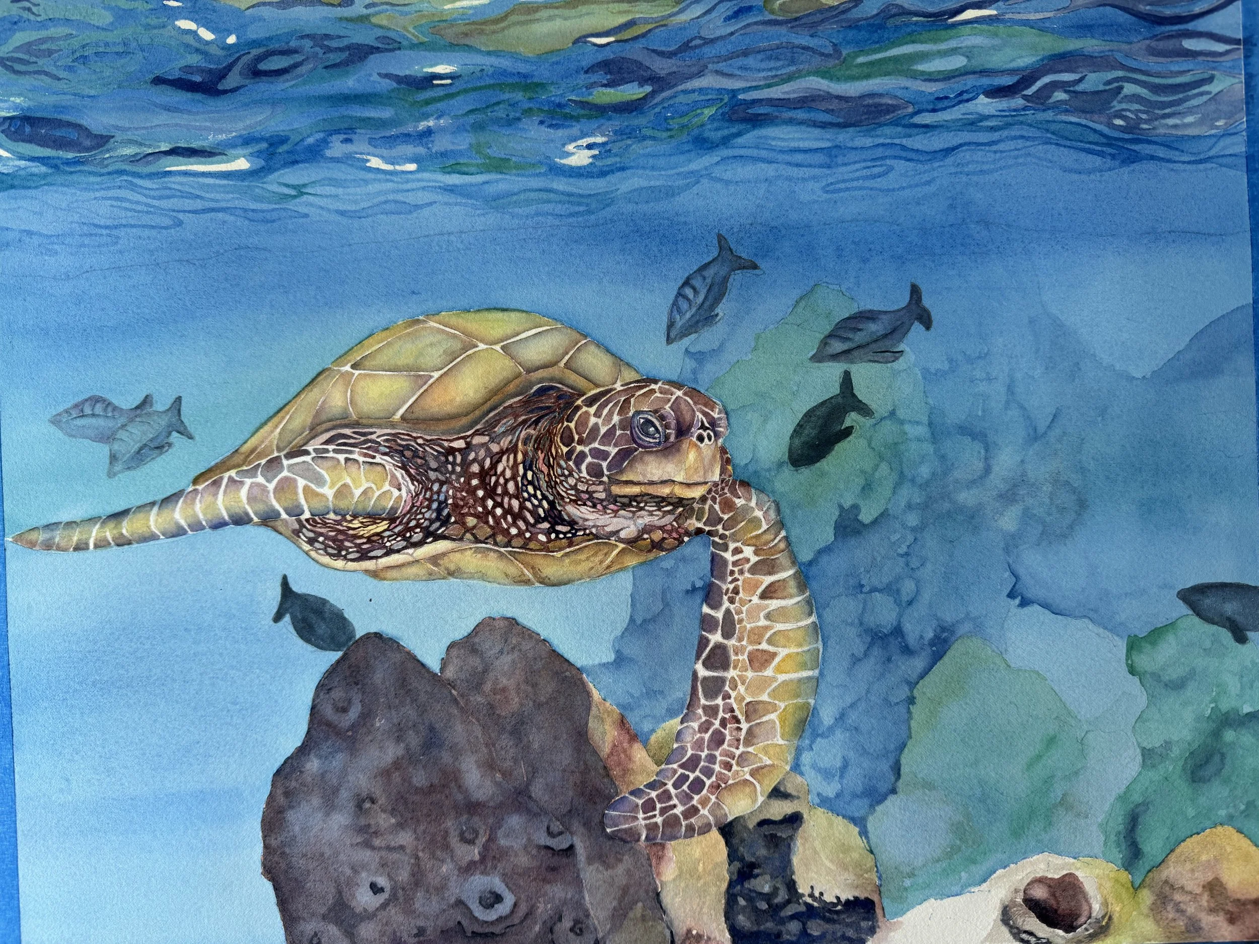 Honu Hiway.jpeg