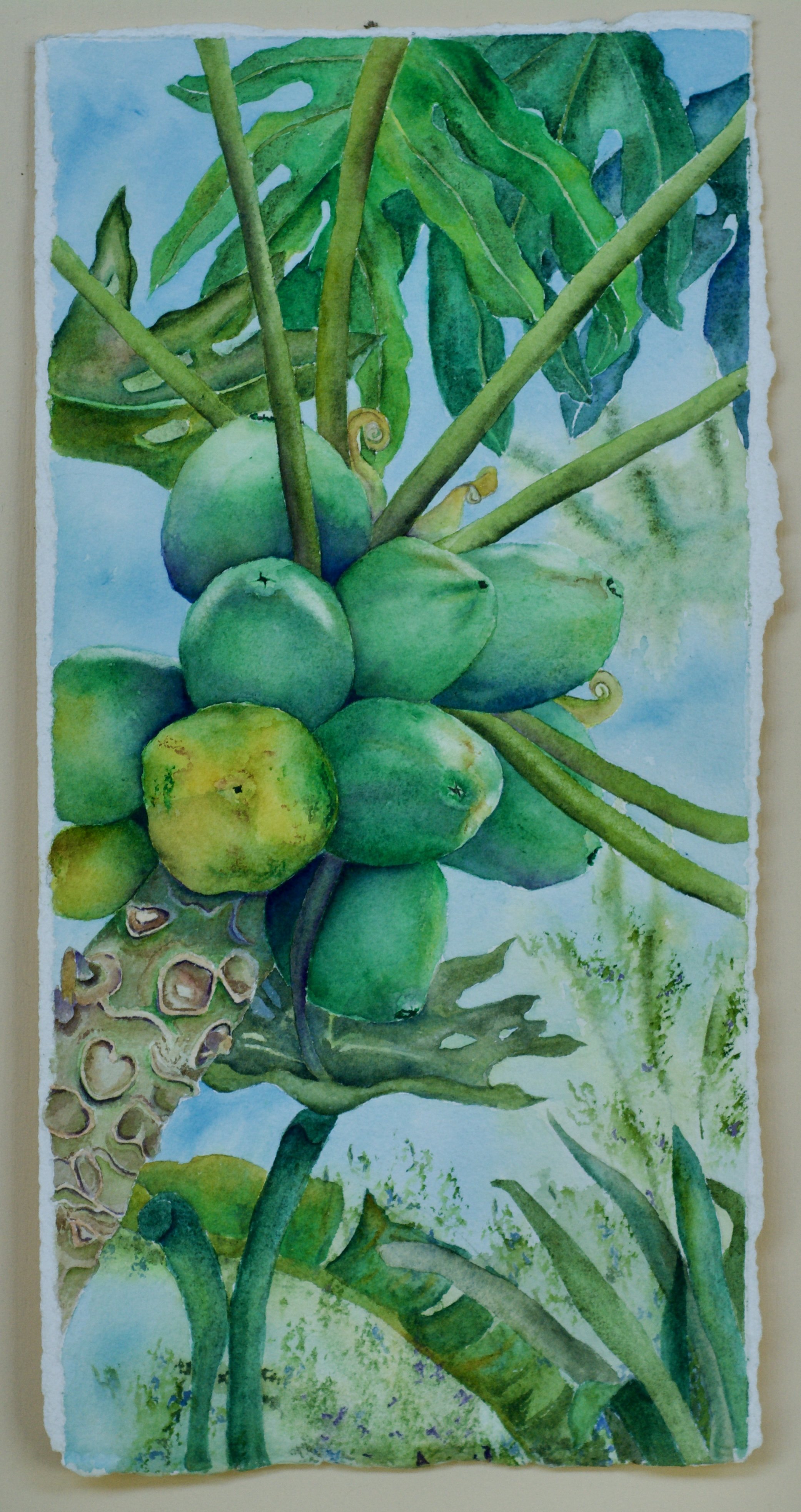 Papayas