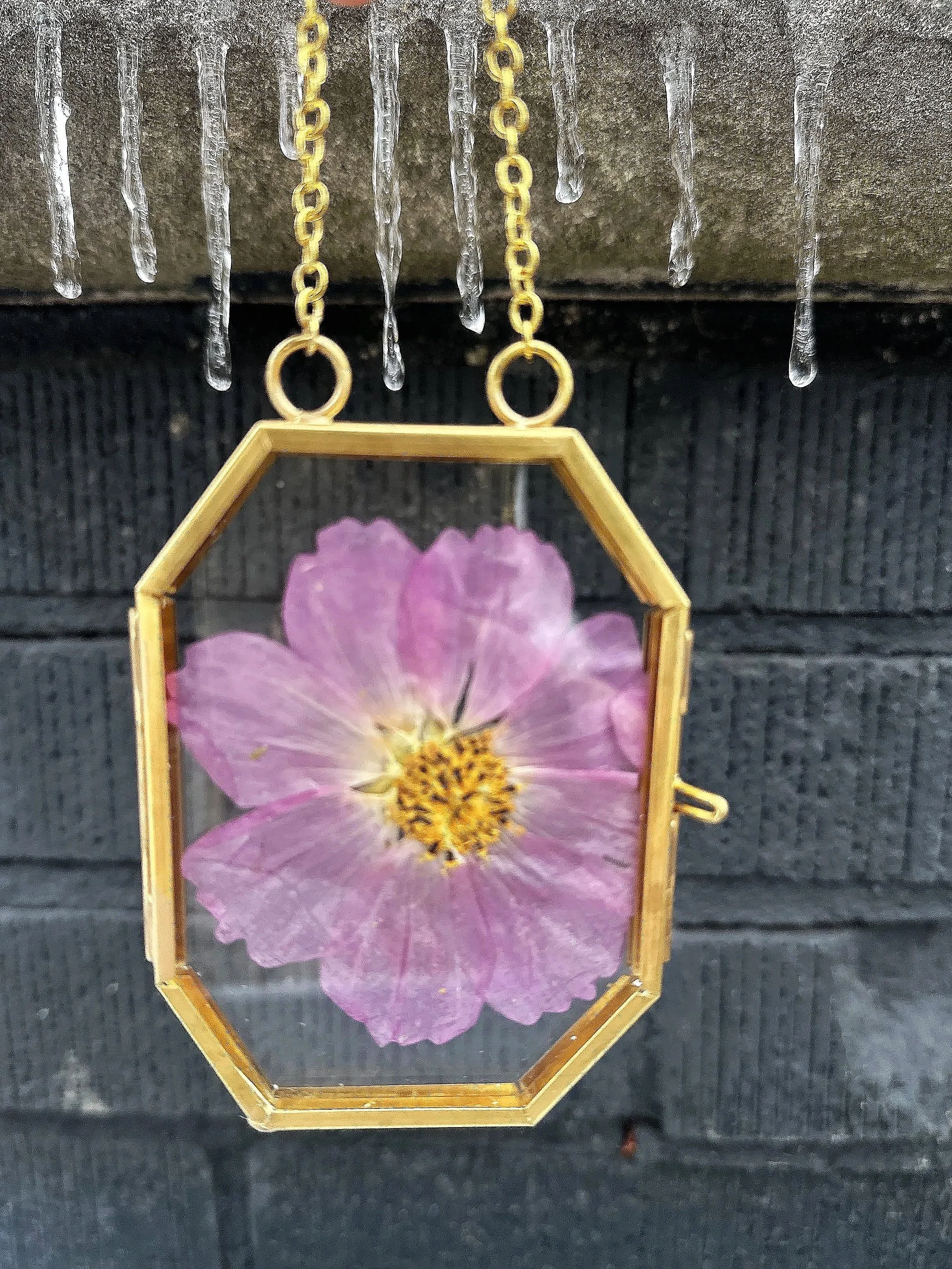 pressed floral frame, vintage brass frame, pressed wild flowers, dried flowers, botanical art, delicate, nature, cosmo, calendula, queen Anne's lace