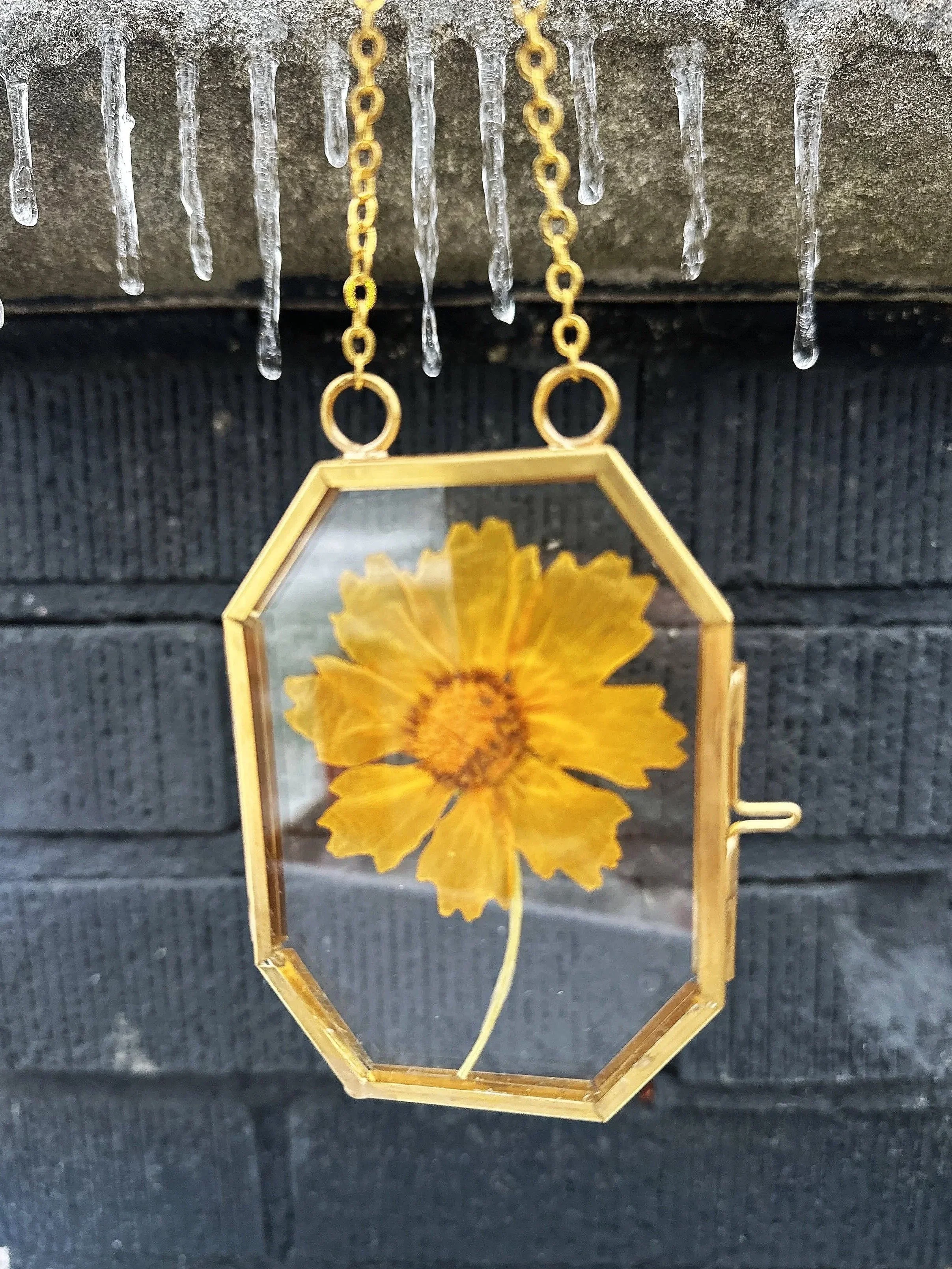 pressed floral frame, vintage brass frame, pressed wild flowers, dried flowers, botanical art, delicate, nature, cosmo, calendula, queen Anne's lace