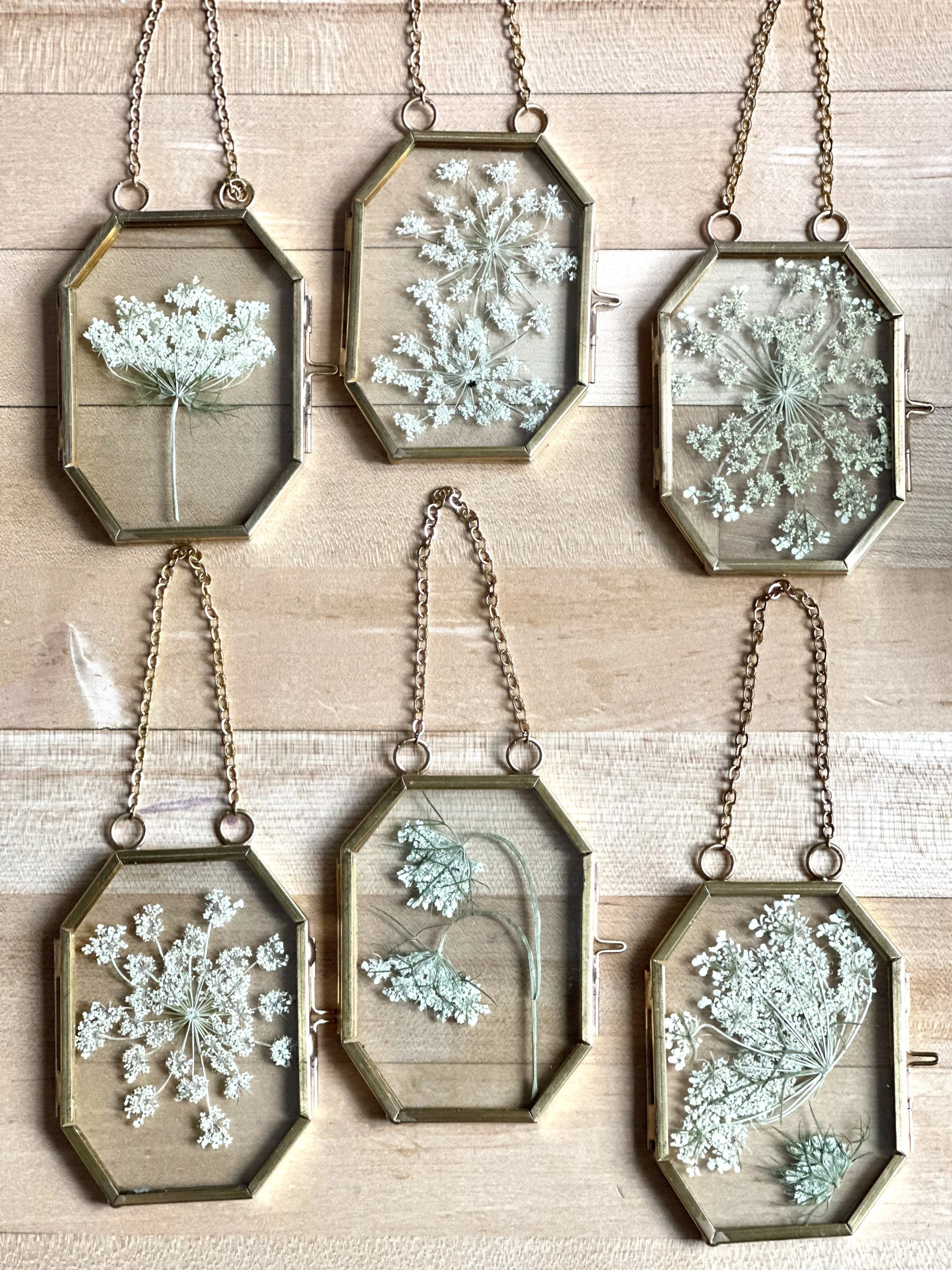 pressed floral frame, vintage brass frame, pressed wild flowers, dried flowers, botanical art, delicate, nature, cosmo, calendula, queen Anne's lace