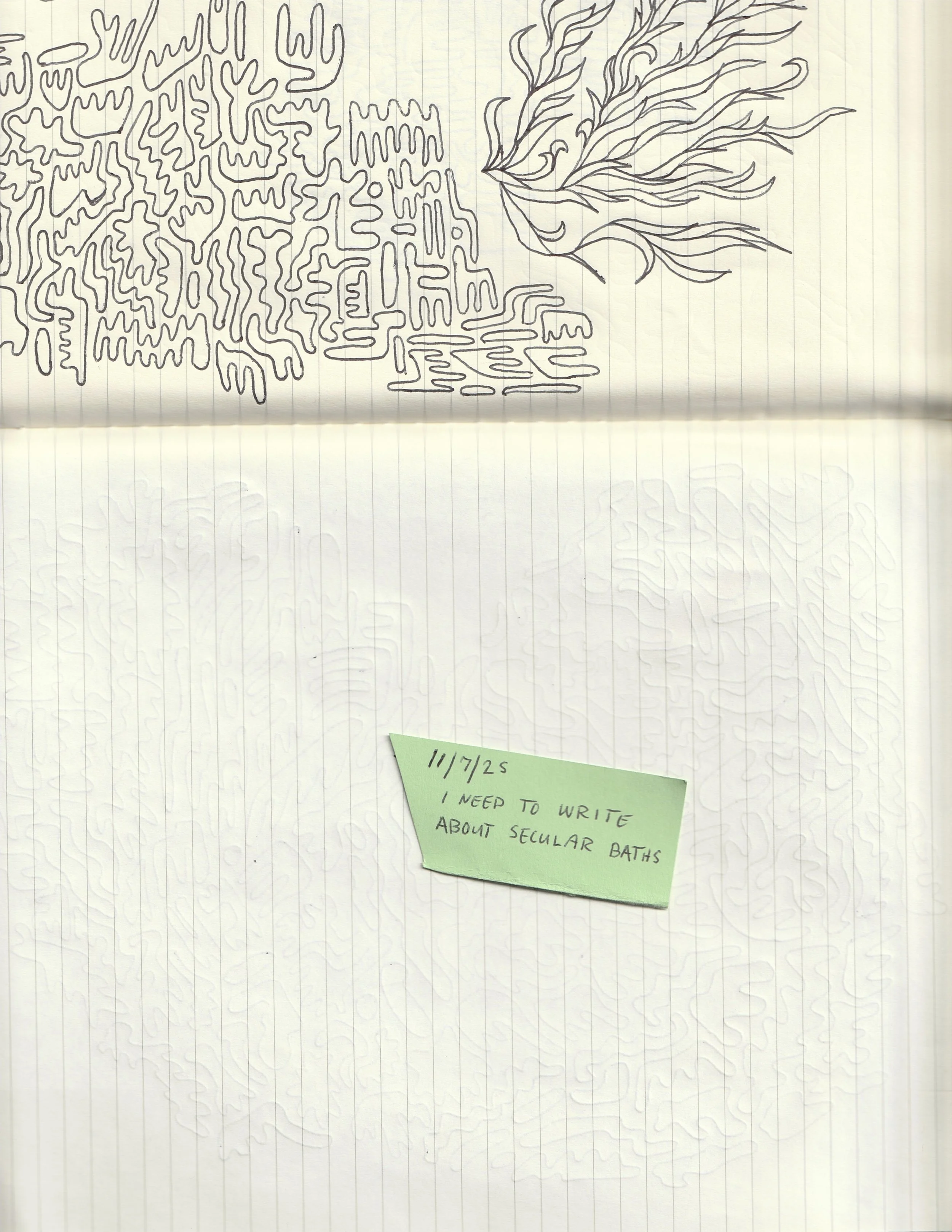 TobeyKatt_Diary_11:7:25.jpg
