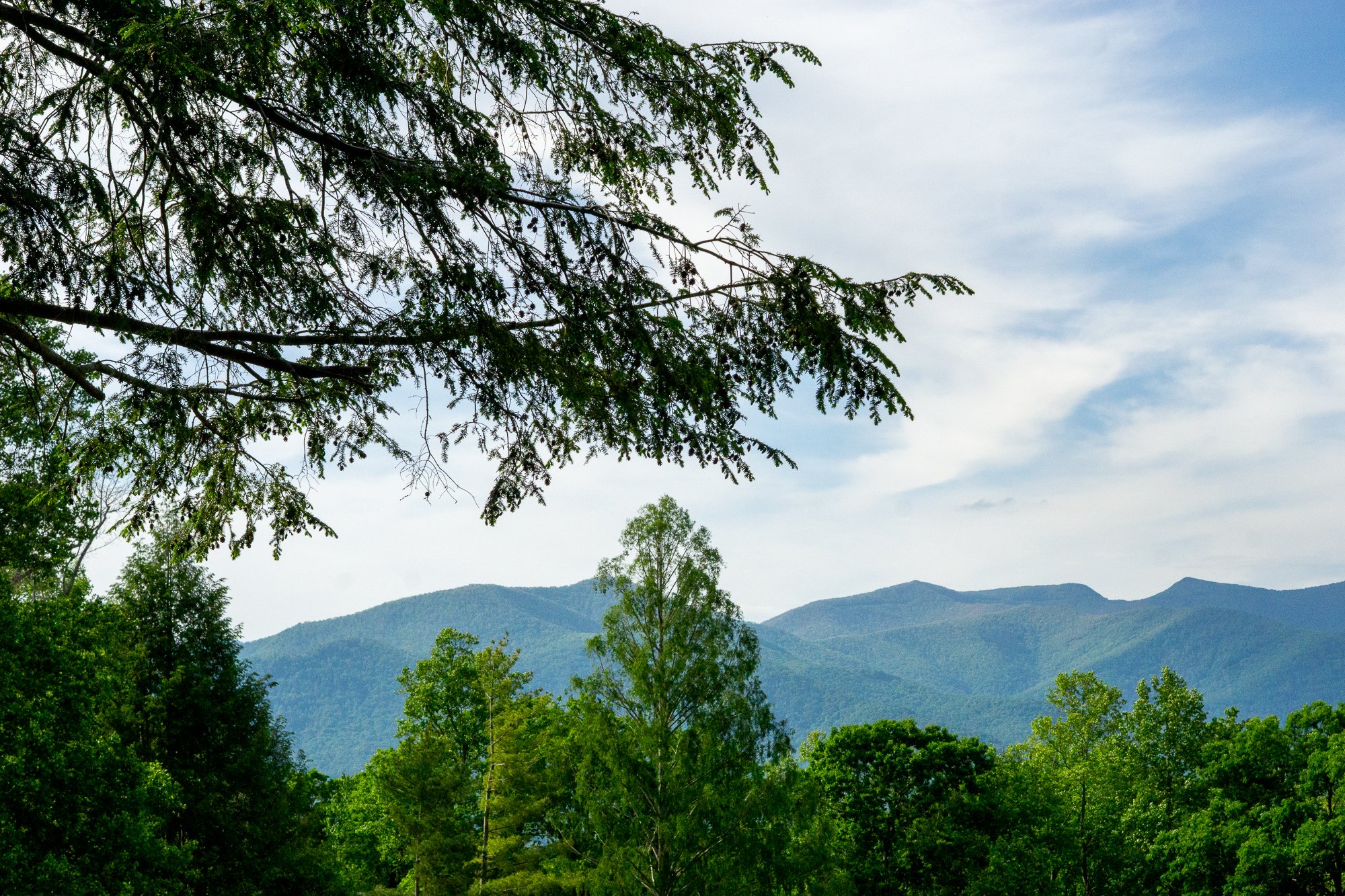 SOTA 5-30-26 TobeyMyers-58.jpg