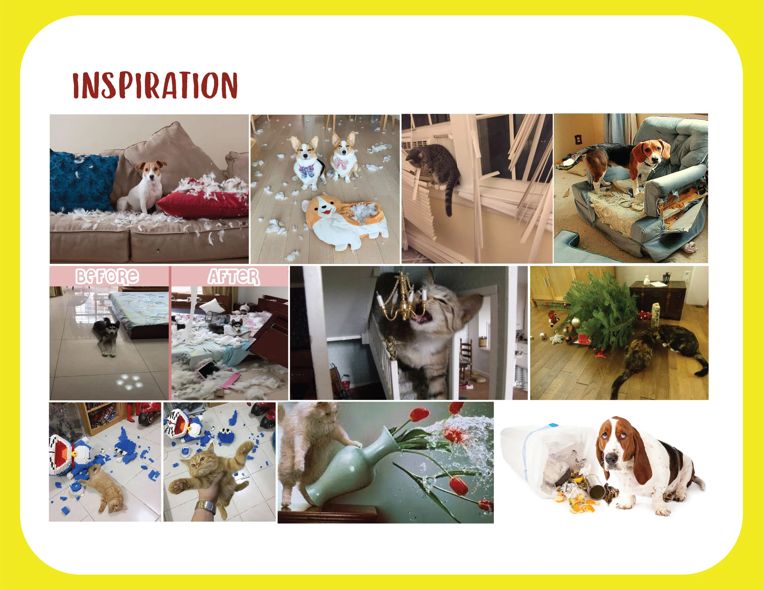 pet-mood-01.jpg