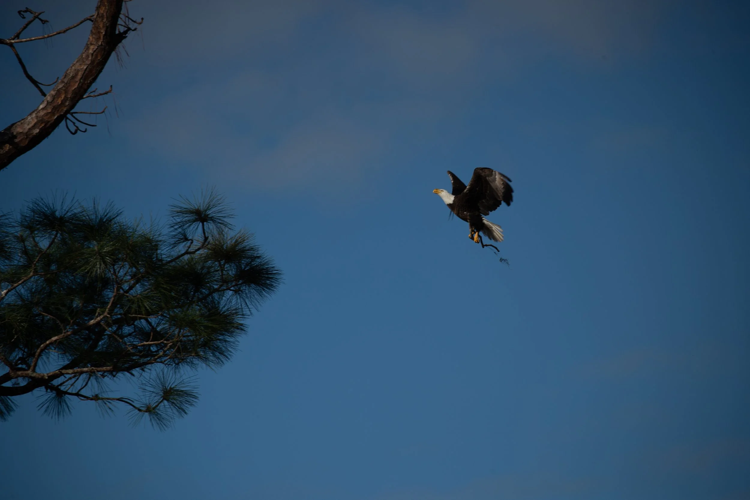 CAPITOL North side Fountain-3 (1 of 1).jpg
