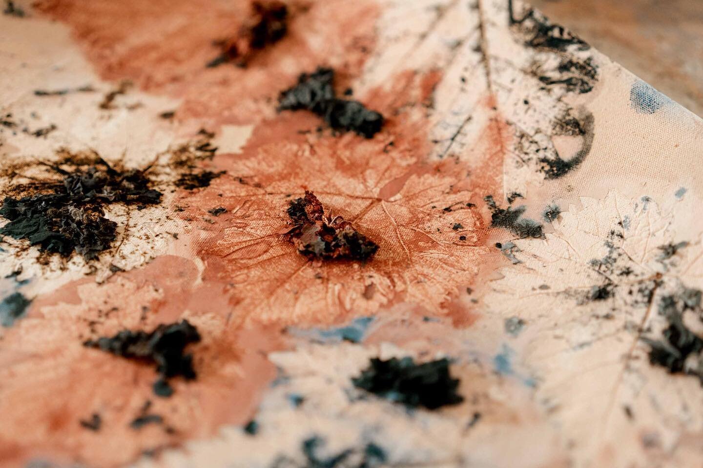 Un plateau feuille de vigne apr&egrave;s premi&egrave;re cuisson. Les feuilles pos&eacute;es sur une terre fra&icirc;che ne sont plus, suite au d&eacute;gourdi, que des petits tas de cendres. Bien que toutes mati&egrave;res organiques aient &eacute;t