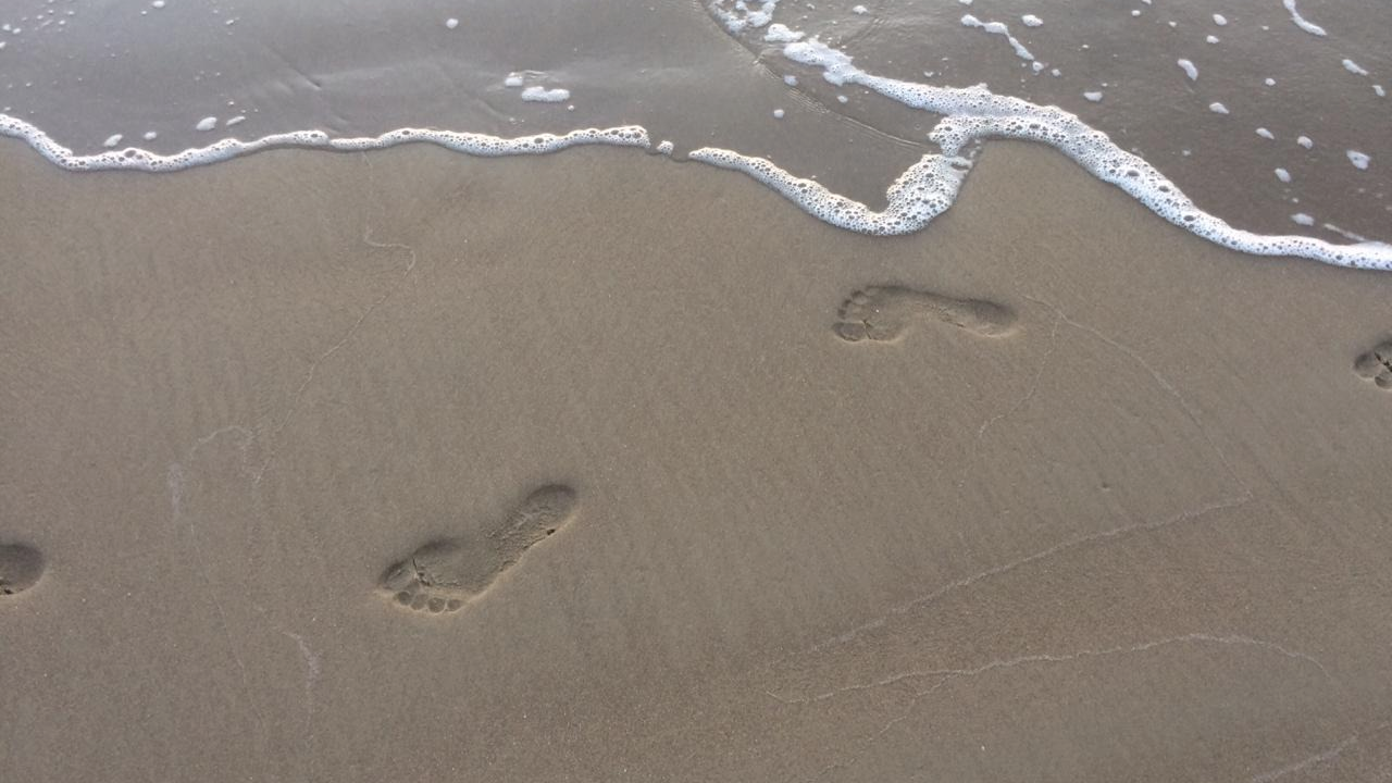 ¿Qué busco al seguir a Cristo?