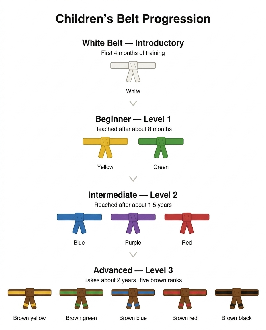 TMD martial arts children belt progression