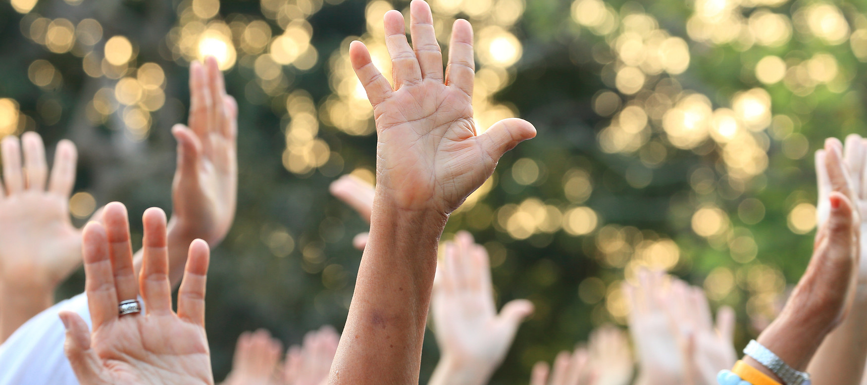 Multiple hands raised in the air outdoors with blurred trees and sunlight in the background.
