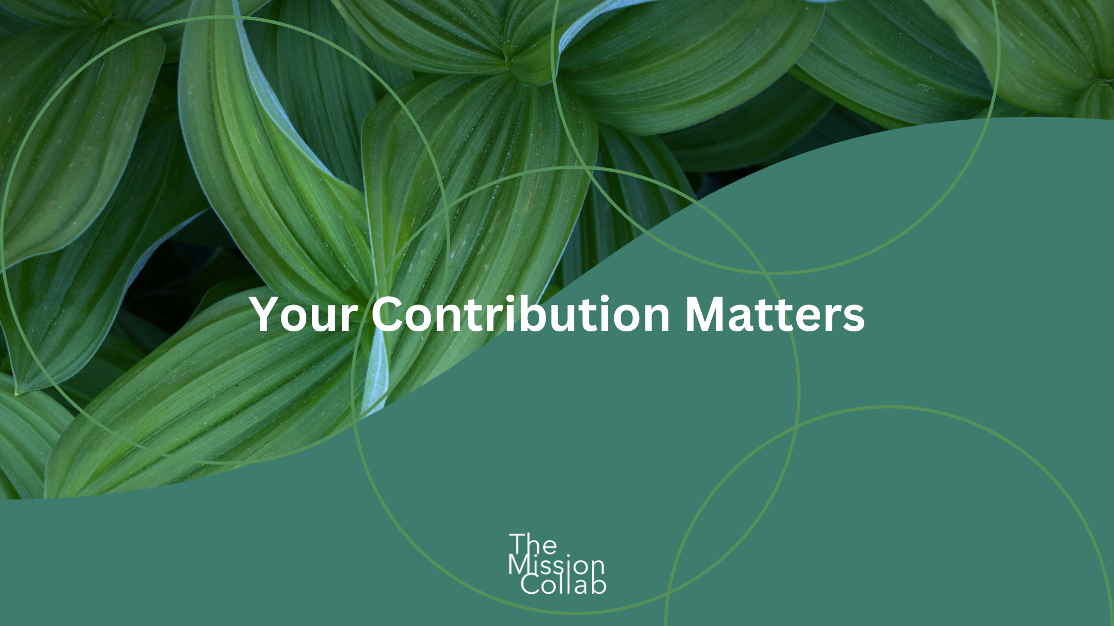 Your Contribution Matters
