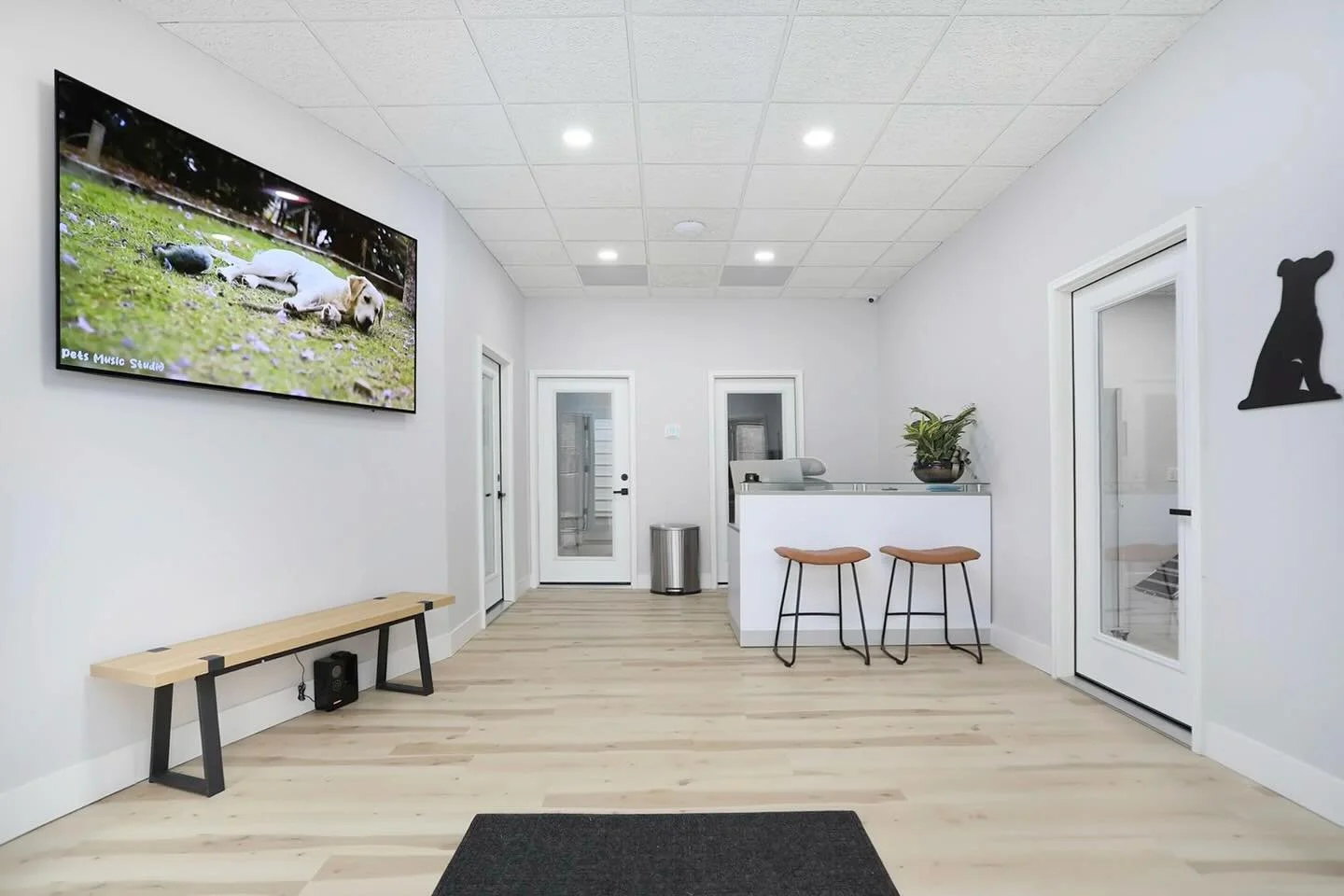 📸 Commercial Photography Available!
Bring your business to life with high-quality imagery that captures what makes you stand out. This high-end dog grooming studio and boarding facility, My K9, boosted its customer reach and credibility through a st