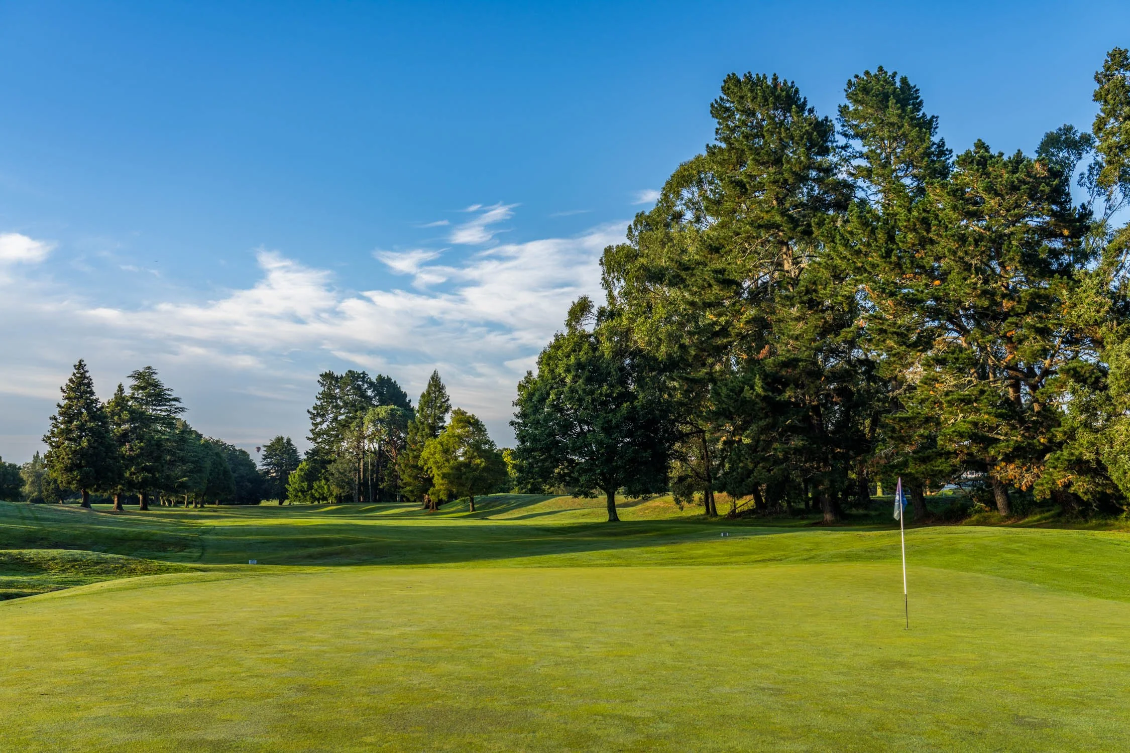 RJD01221.jpg