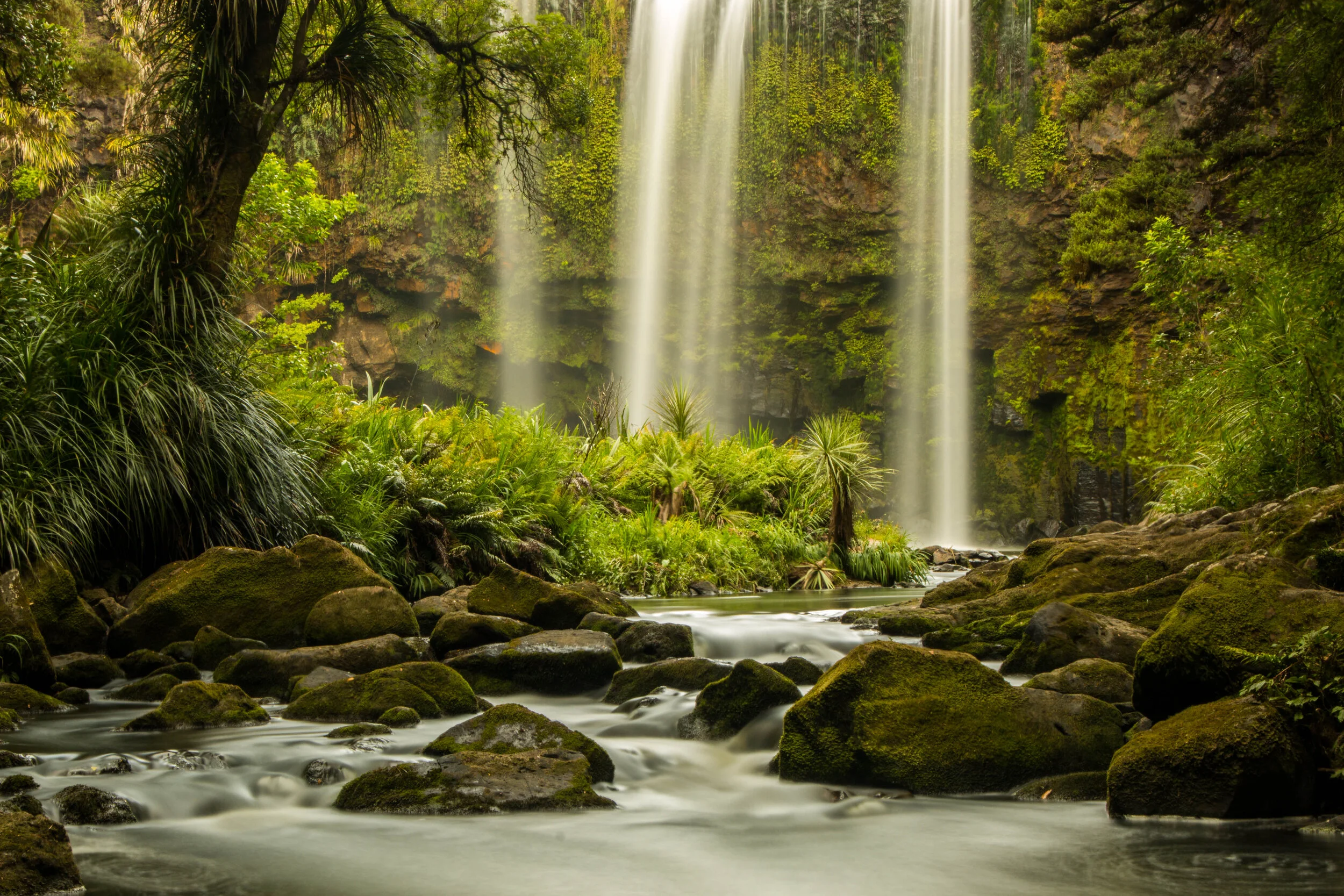 Whangarei Falls