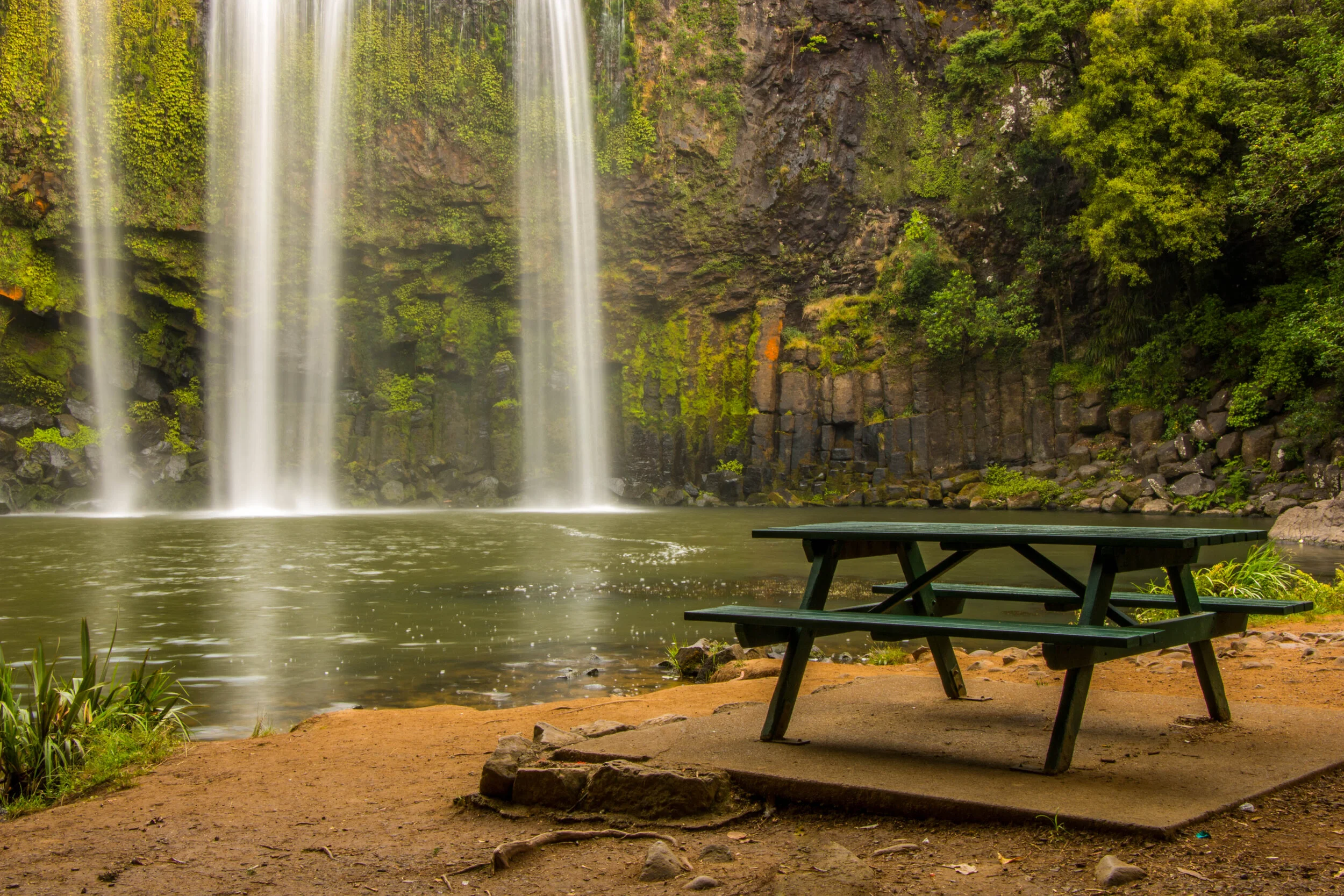 Whangarei Falls