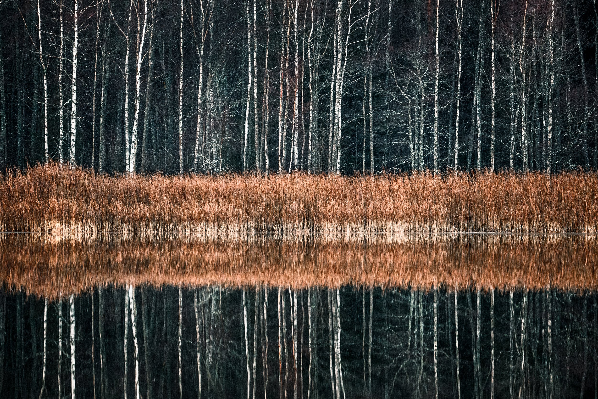 Sjö med spegling i stilla vatten. Höst, sjö, vatten, reflektion, natur, landskap, intimt, avskalat, lugn, Sverige, Morgongåva.