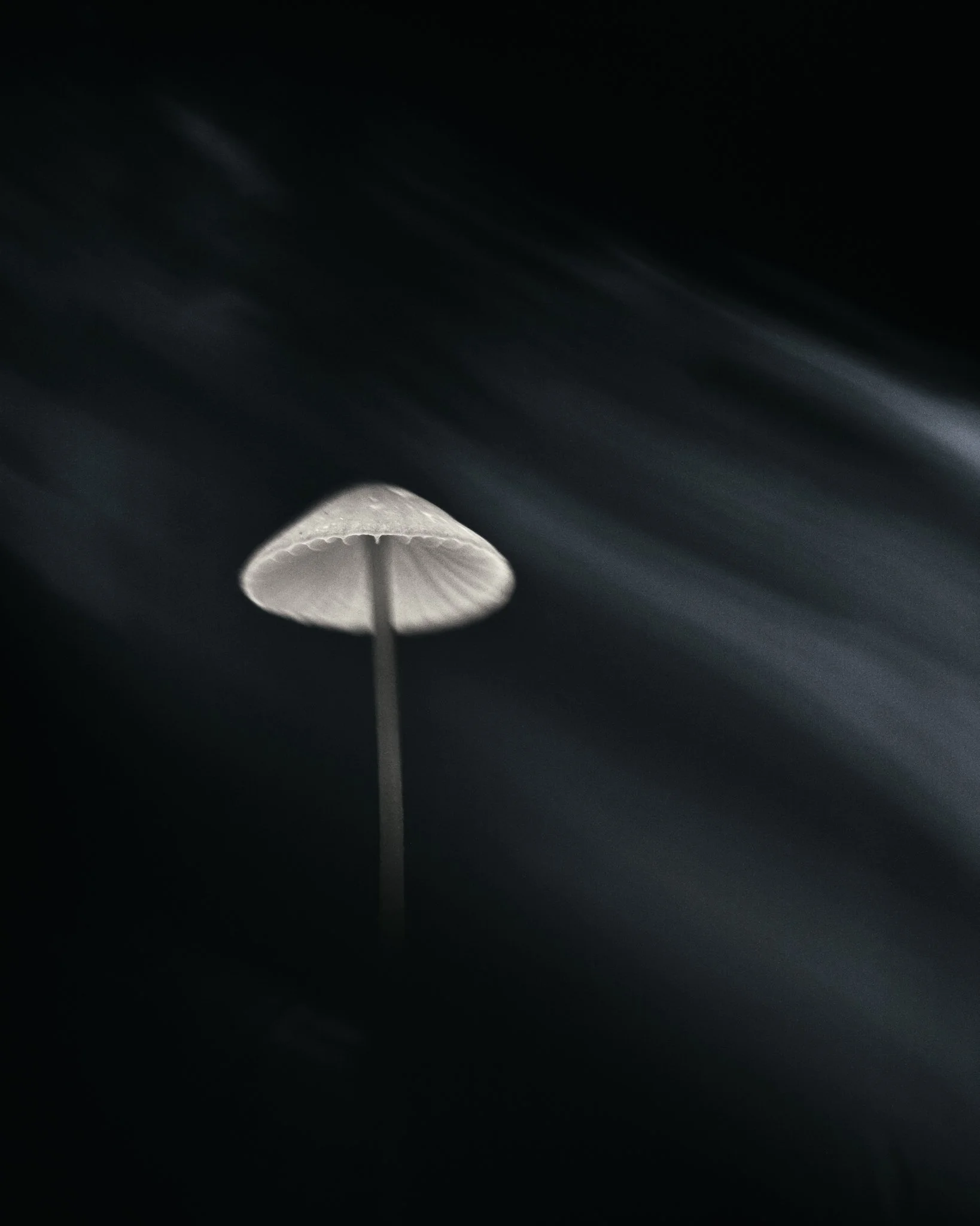 Litet motiv, stor närvaro