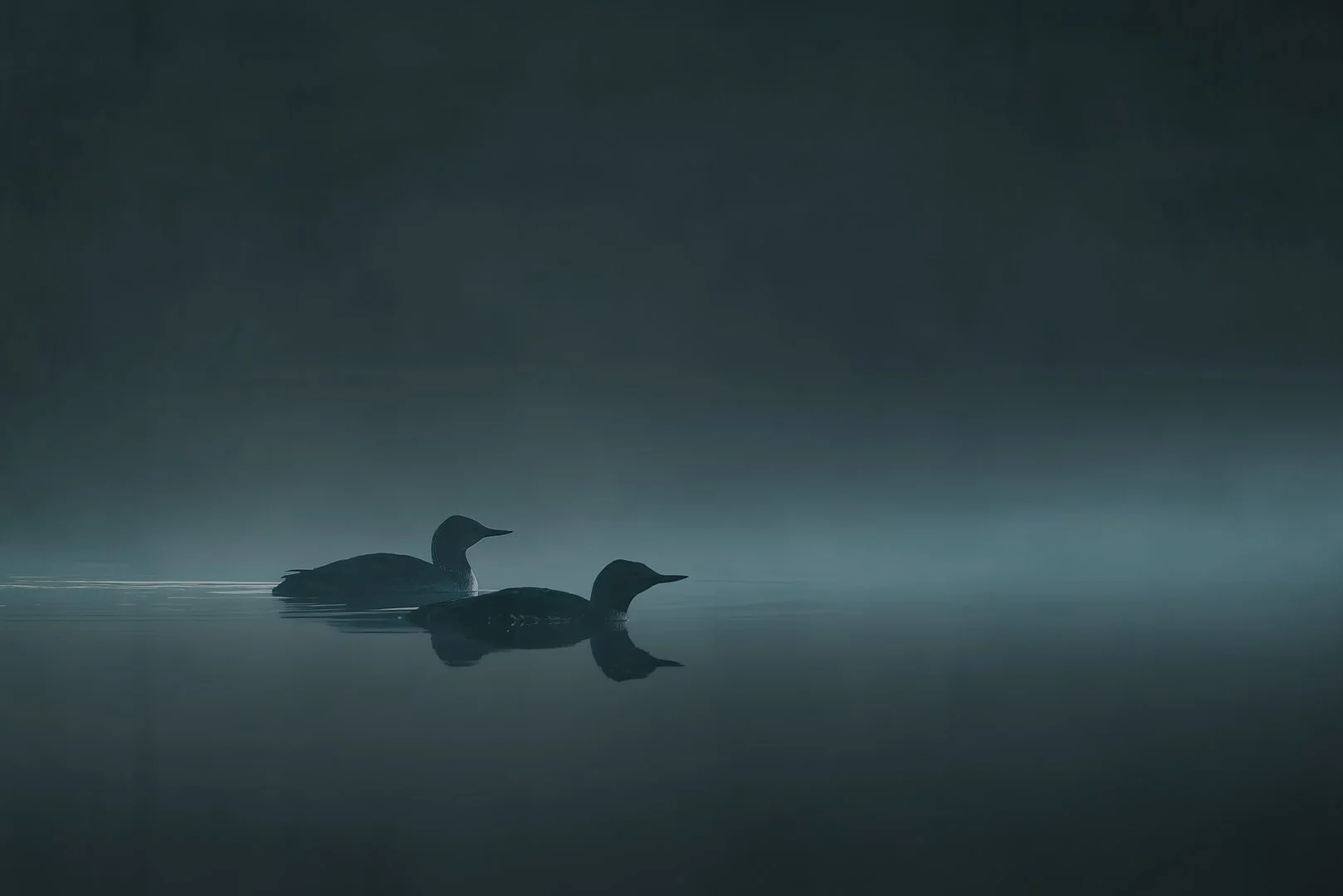 18th Finland International Digital Circuit 2023, 3rd Loviisa Salon, Accepterad