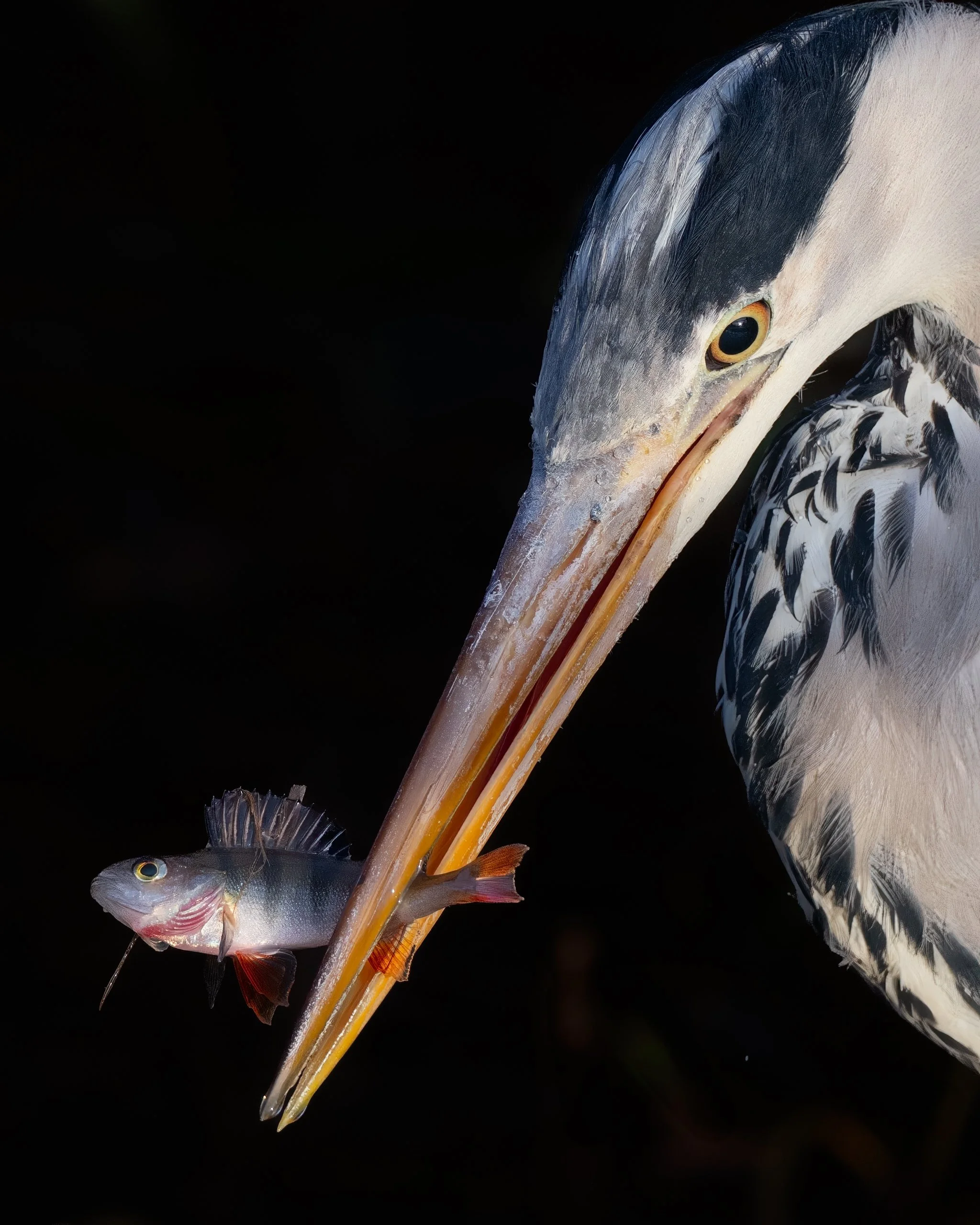 Tio favoritbilder från 2025