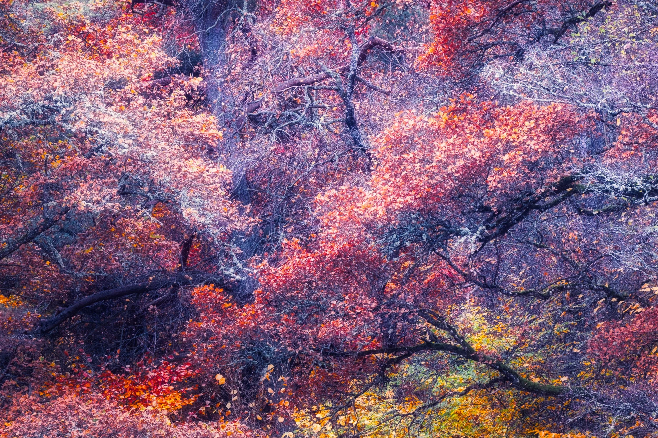 Colors.jpg
