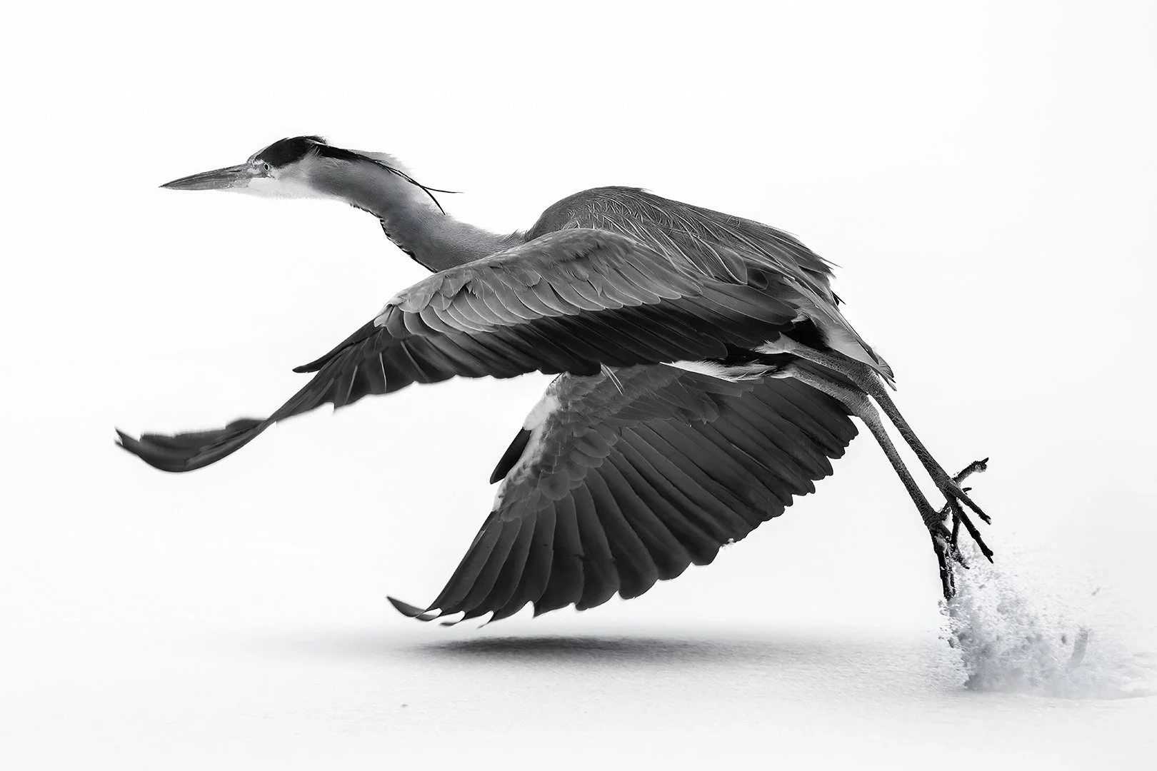 18th Finland International Digital Circuit 2023, 4th Joensuu Salon, 1st Porvoo Salon & 3rd Loviisa Salon, Accepterad