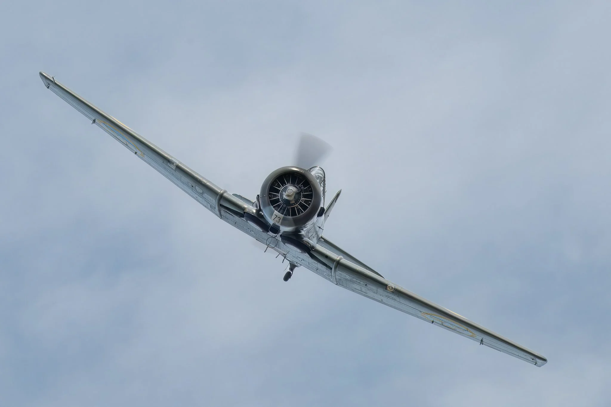 sk16.jpg