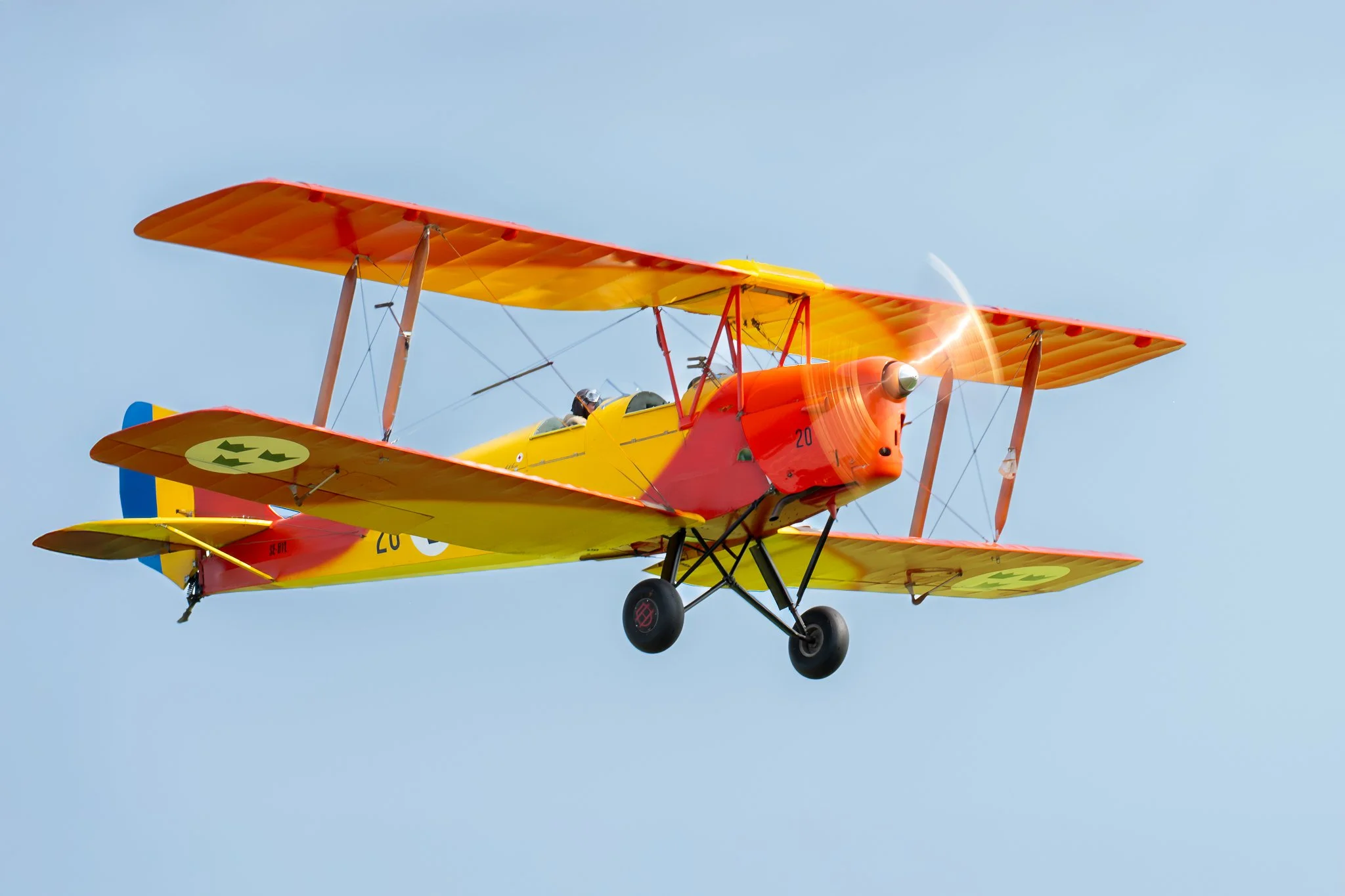 Tiger Moth 2.jpg